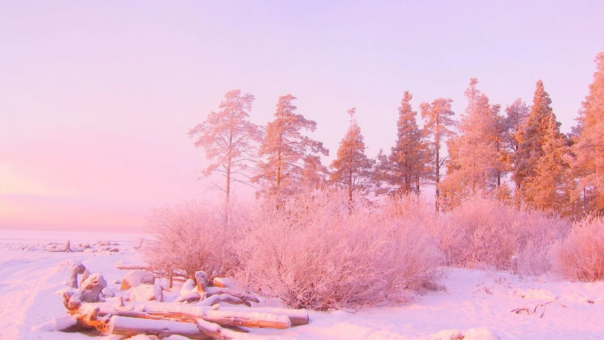 Morgan Frost OnlyFans header