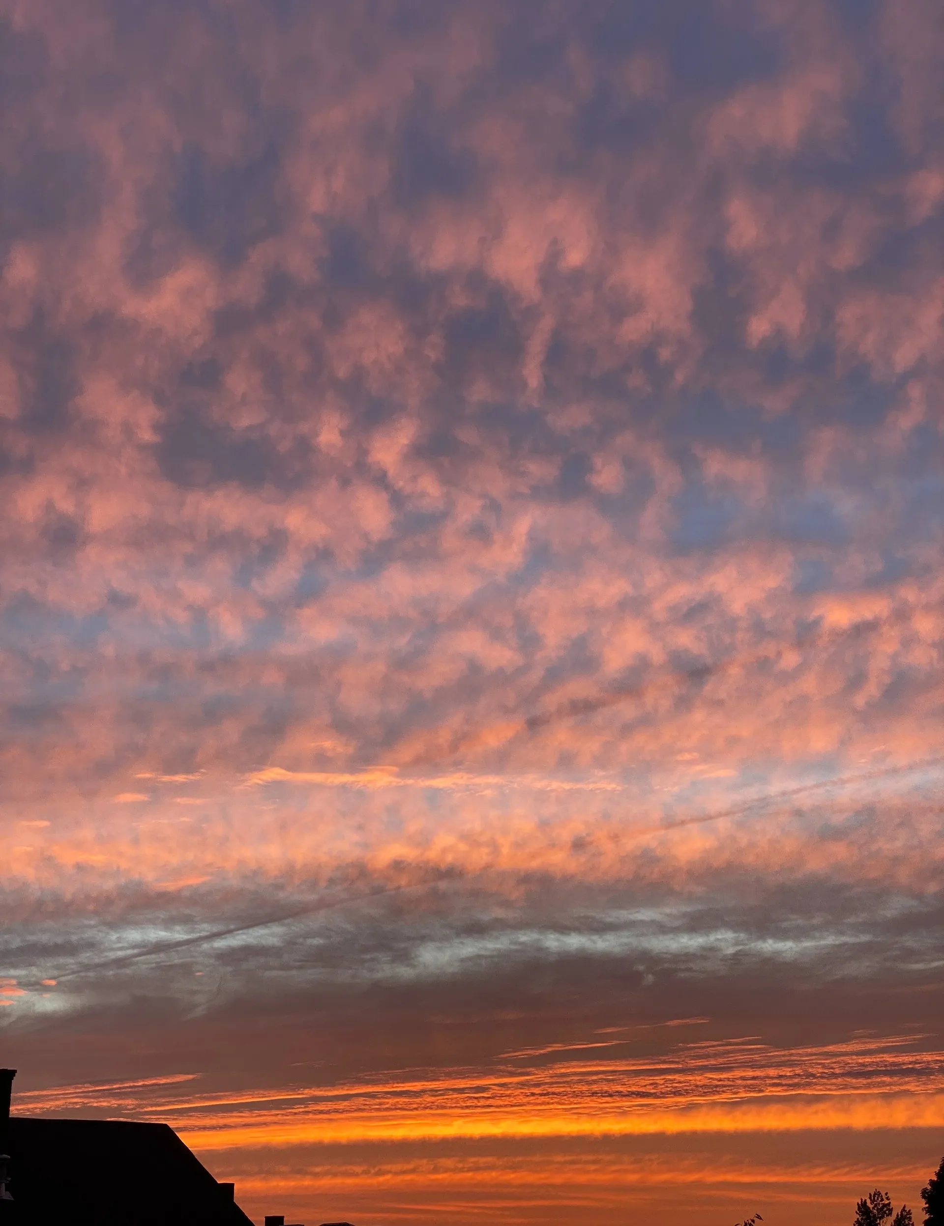 ✨ Fruitietart the PocketPixie ✨ OnlyFans header