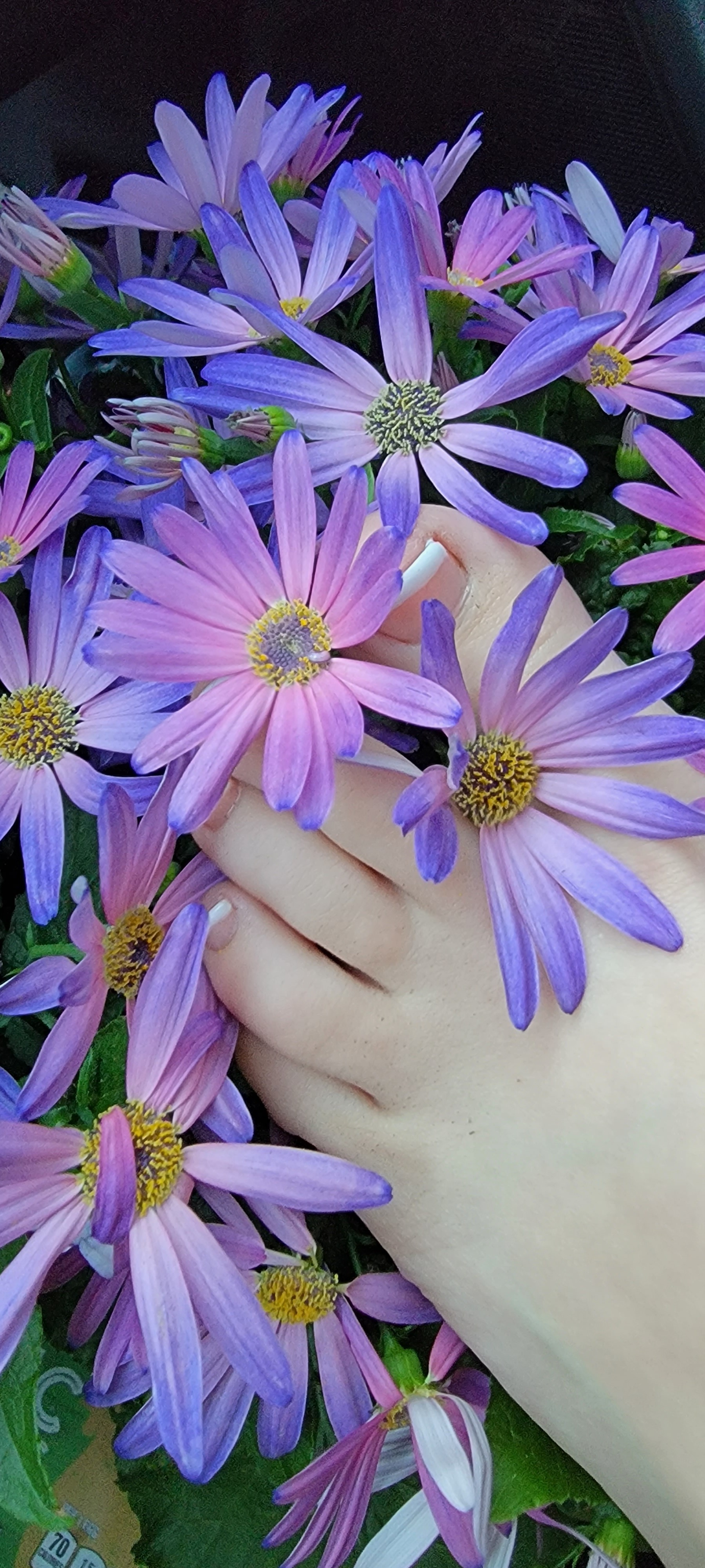 FruityFootsieRoll OnlyFans