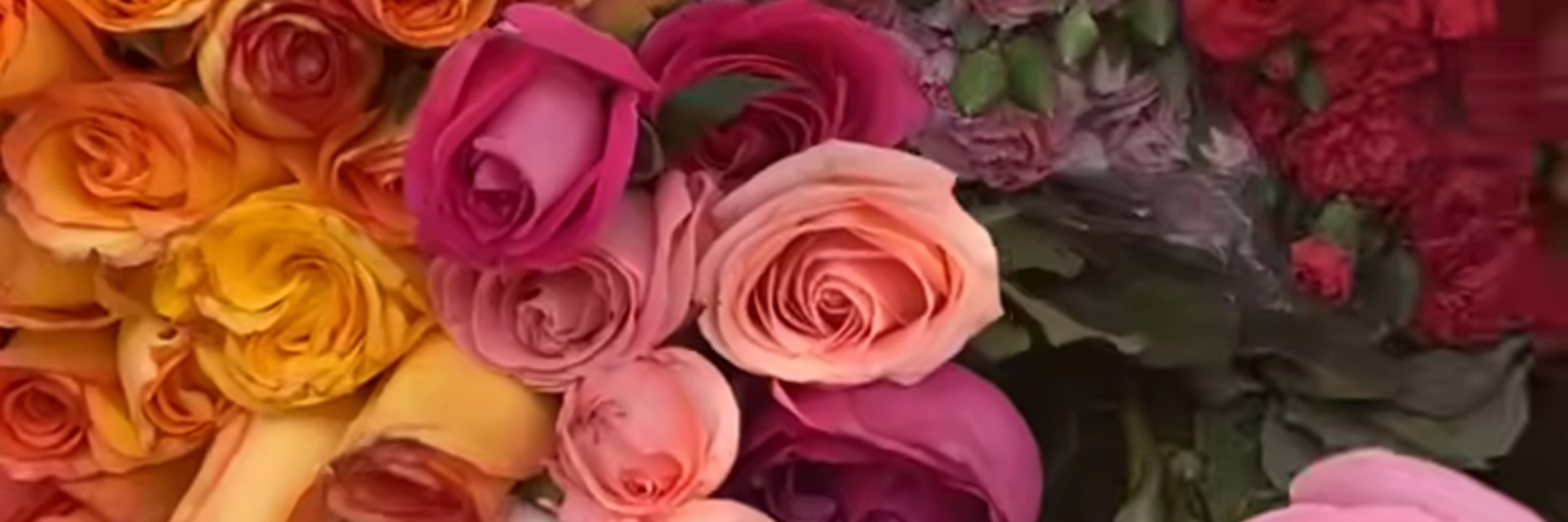 Fryda Ninfo OnlyFans header