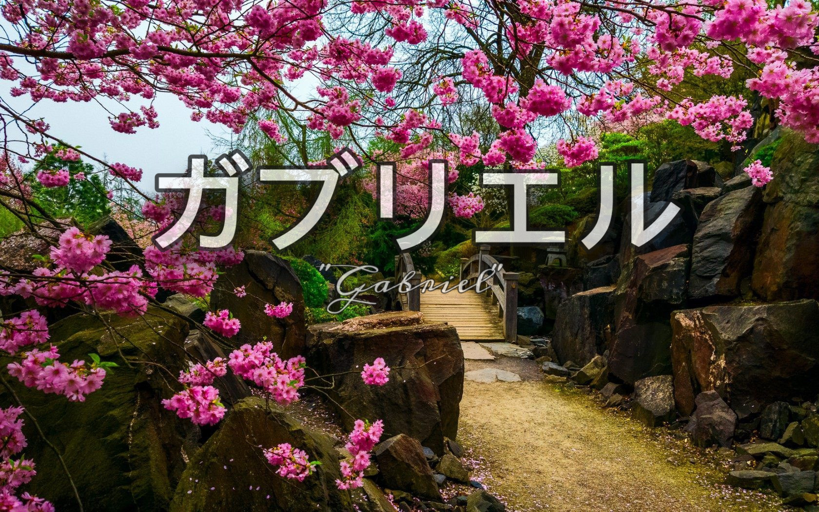 Gbaby 🦋 OnlyFans header