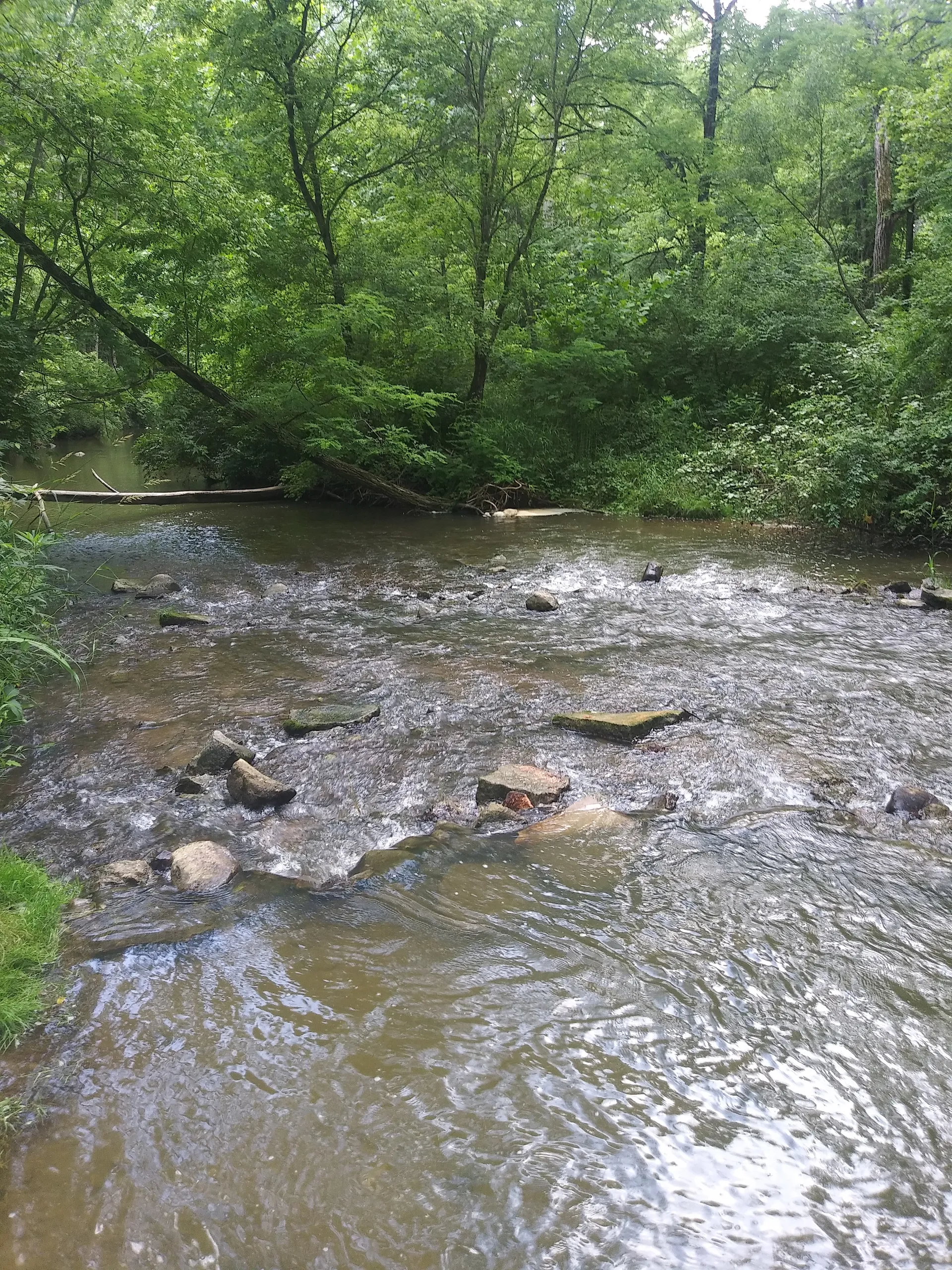 Kayla and Gavin ❤💋 OnlyFans header