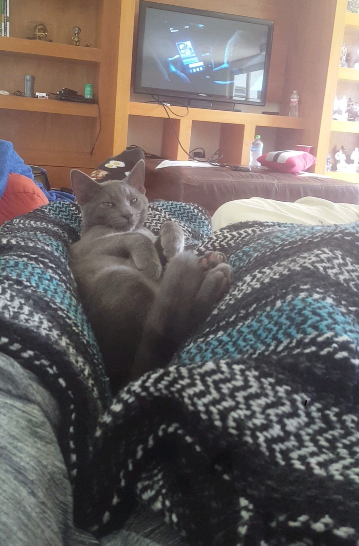 G Bone OnlyFans header