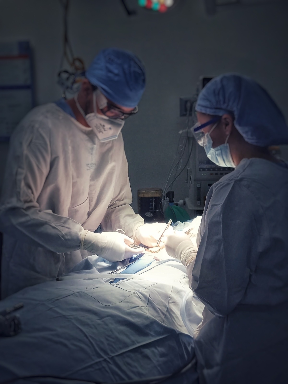 GC-Student OnlyFans header