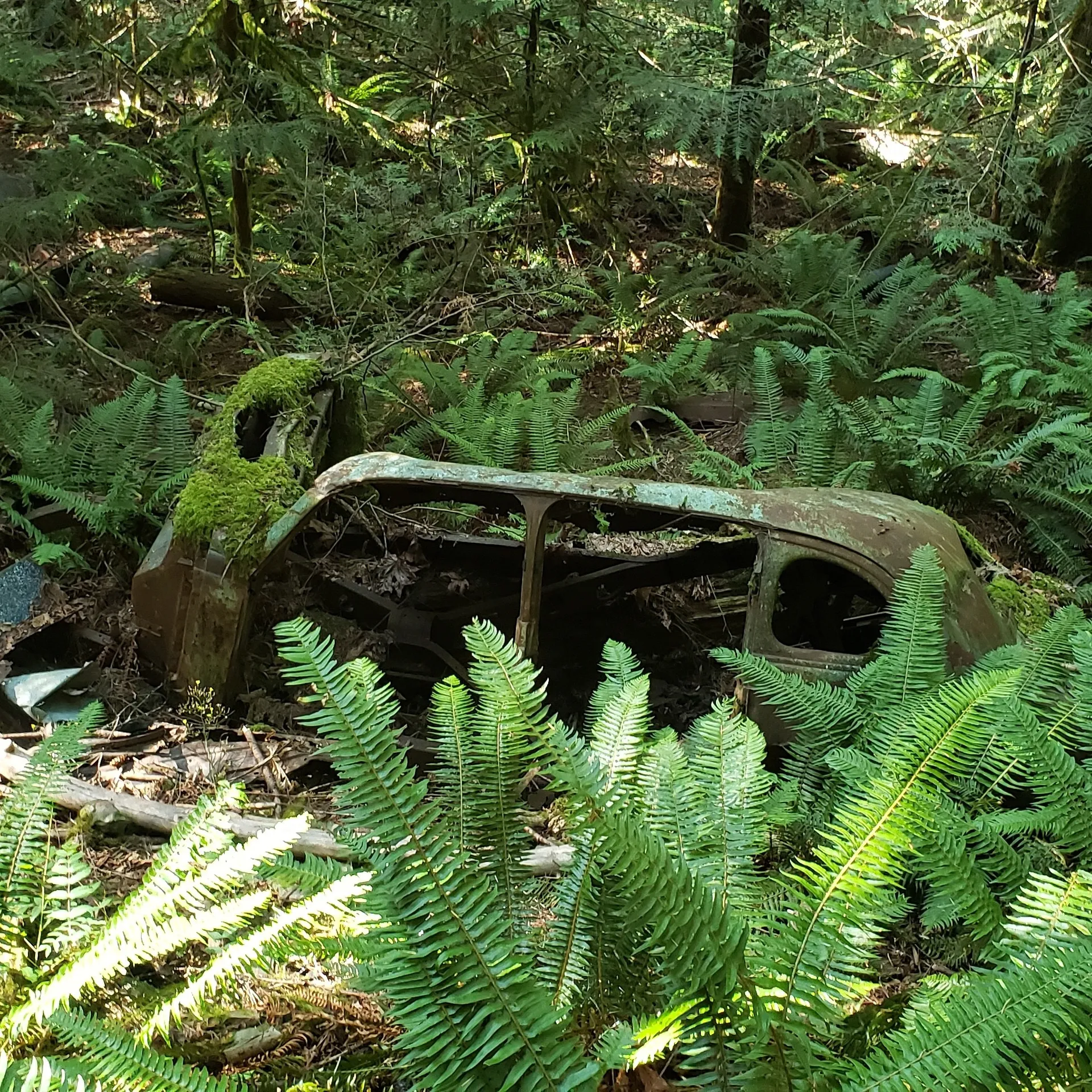 Gc8420 OnlyFans header