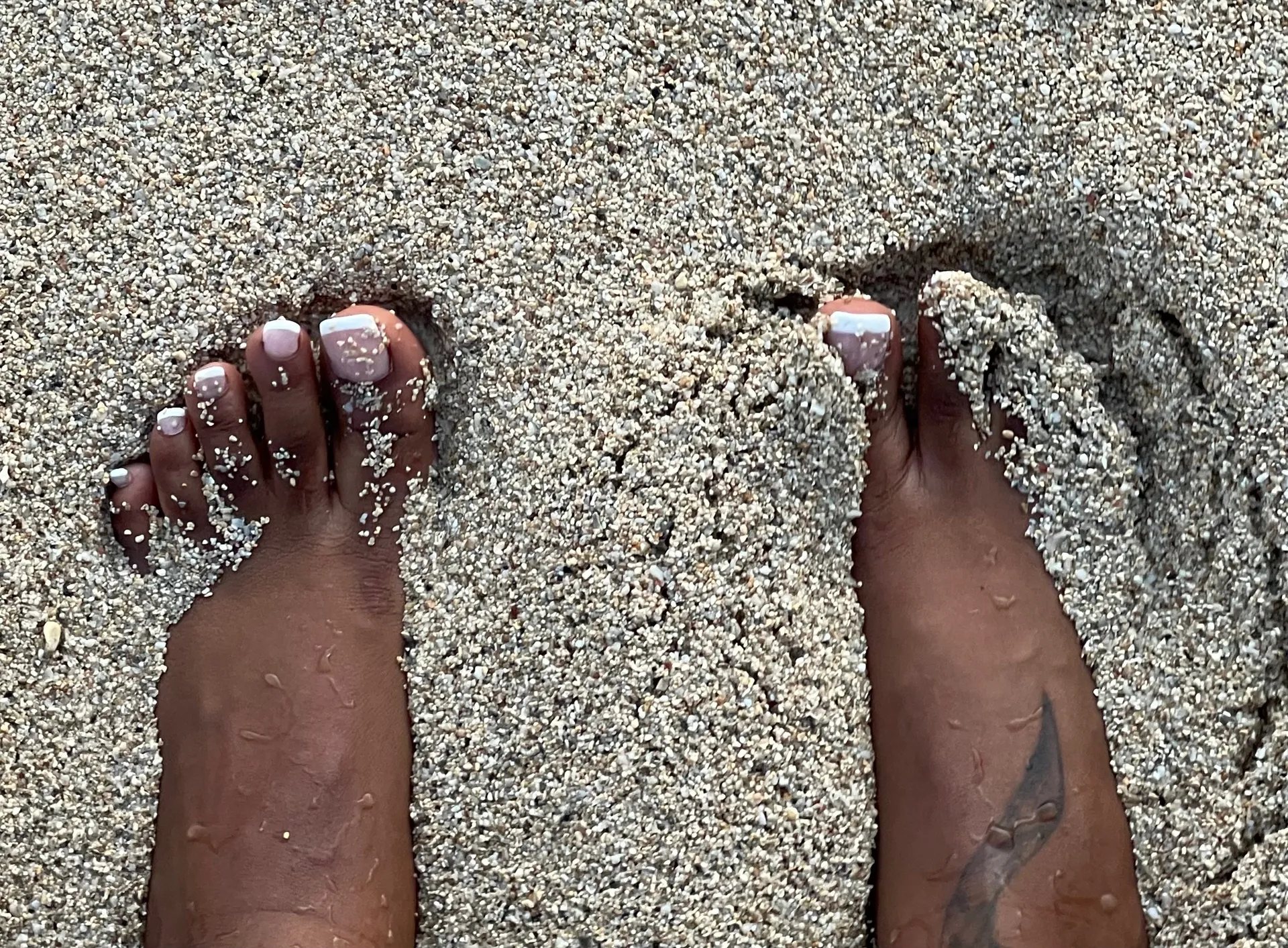 The One 👑 OnlyFans header