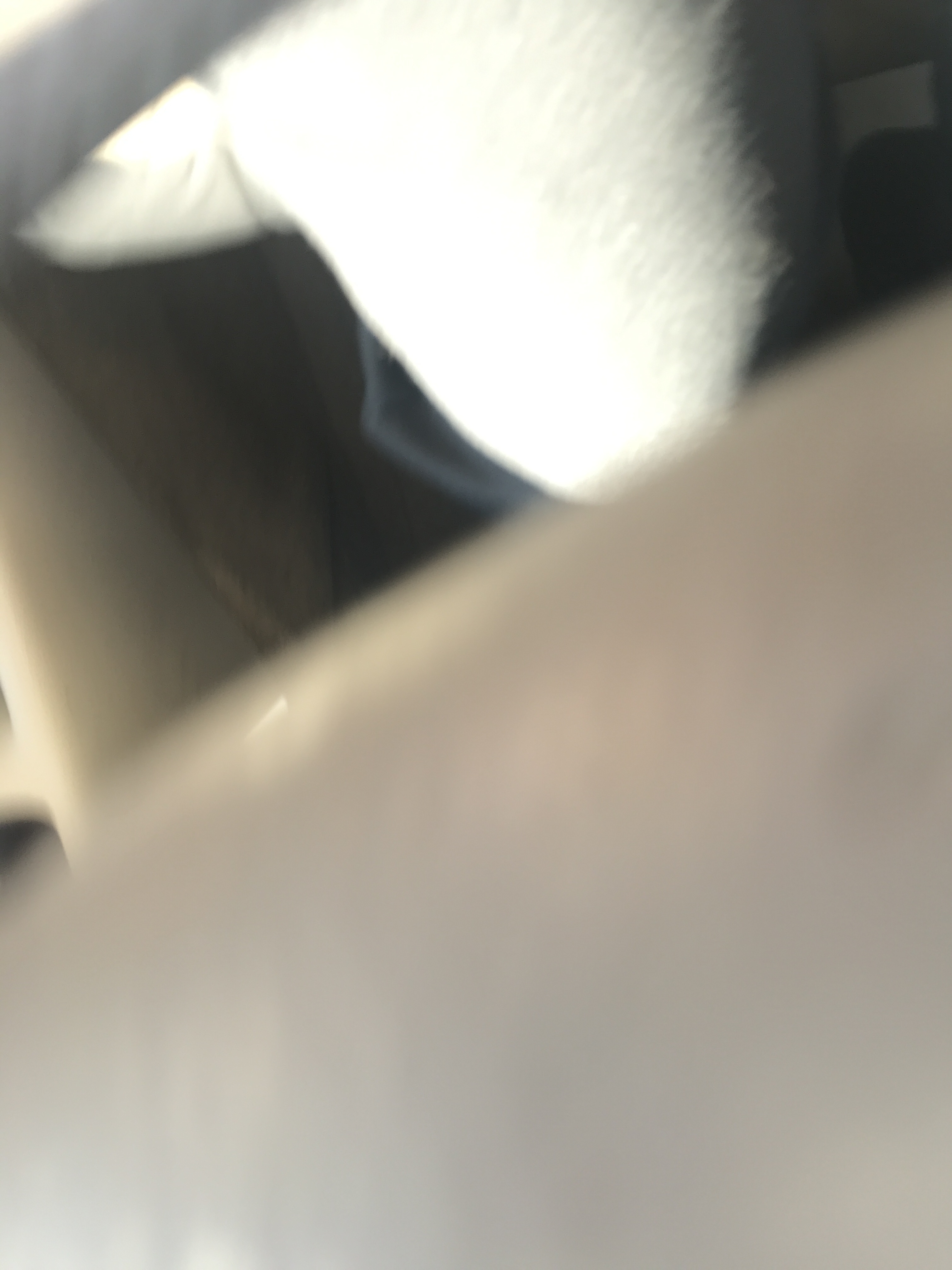 u31498569 OnlyFans header