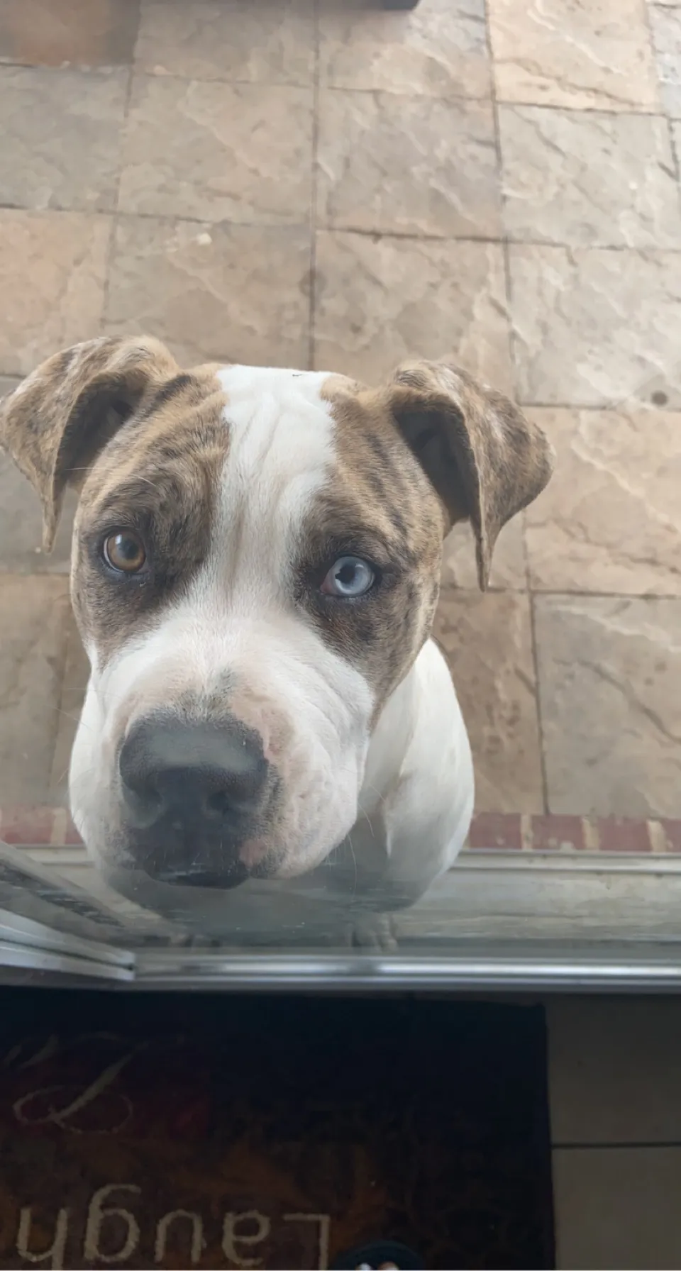 GeeHoneyy🍯🍯 OnlyFans header