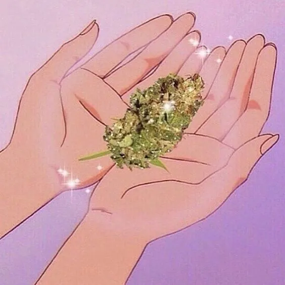 𝔯𝔢𝔦𝔫𝔞 🦋 OnlyFans header