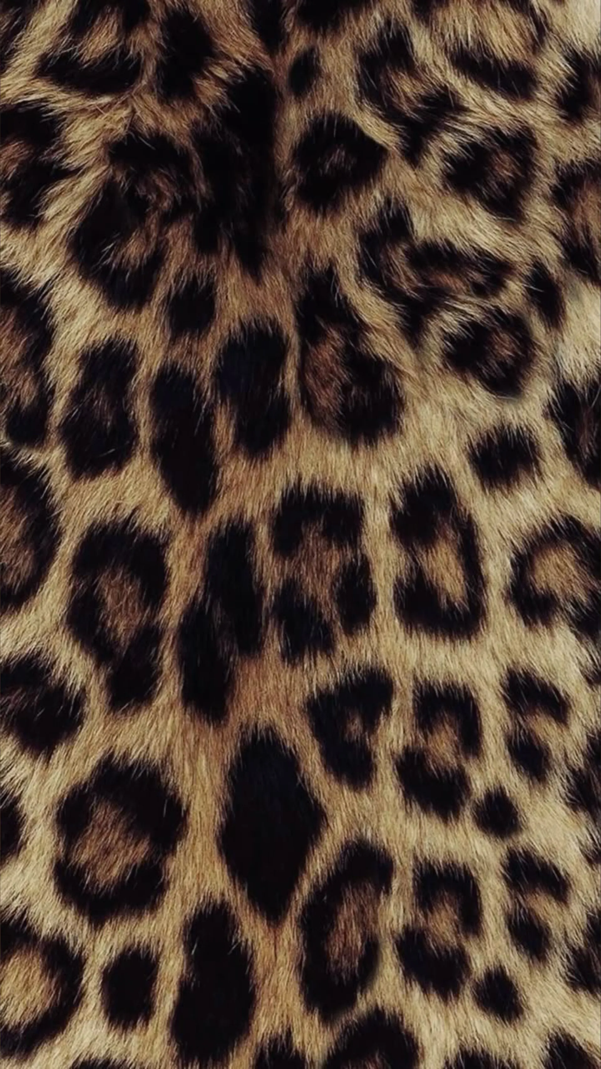 queen gemini 🫶🏻 (FREE PAGE) OnlyFans header