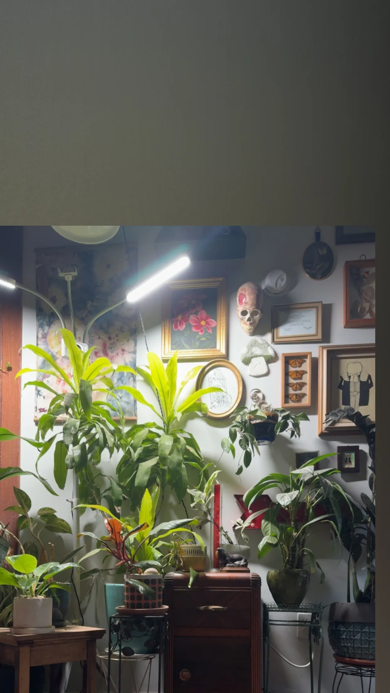 gem rose 🍓 OnlyFans header