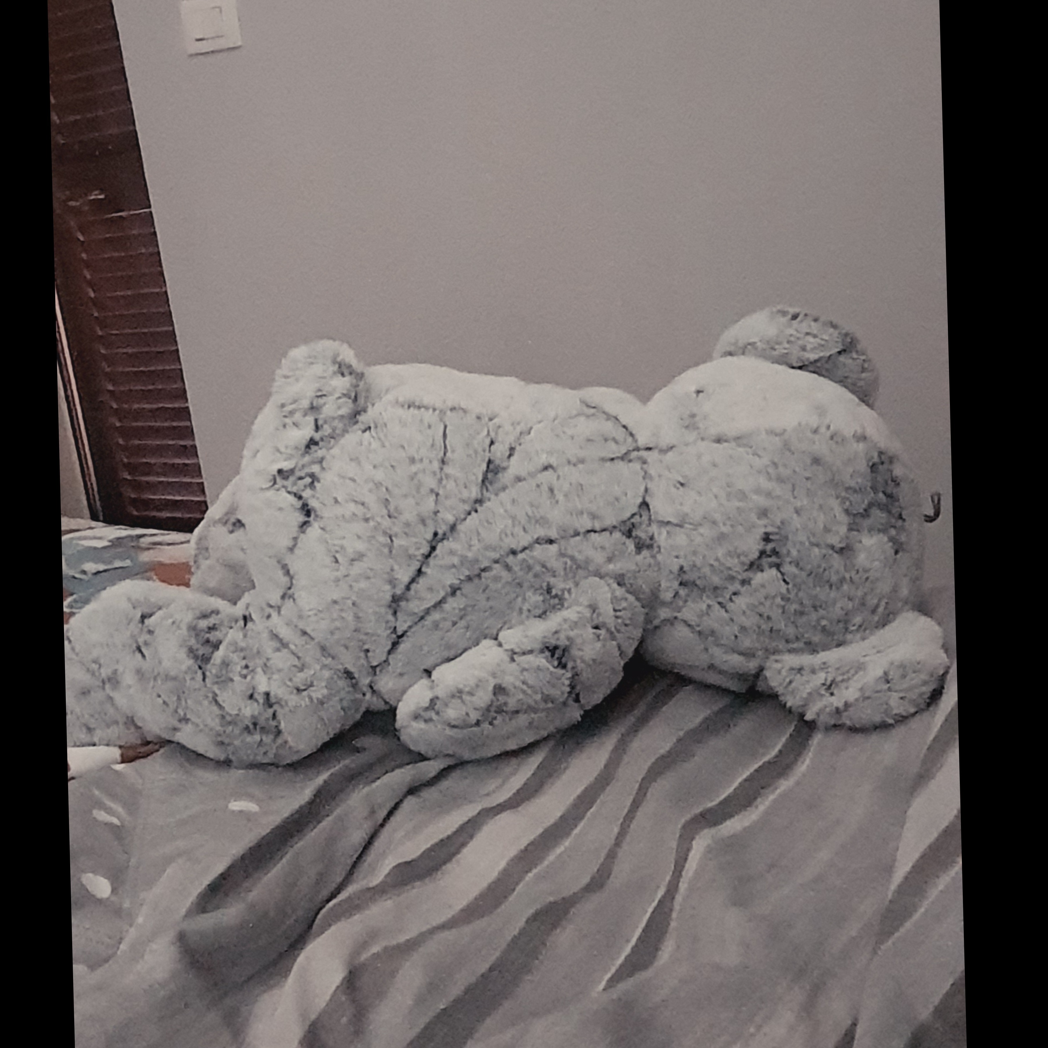 A ki tocca? OnlyFans header