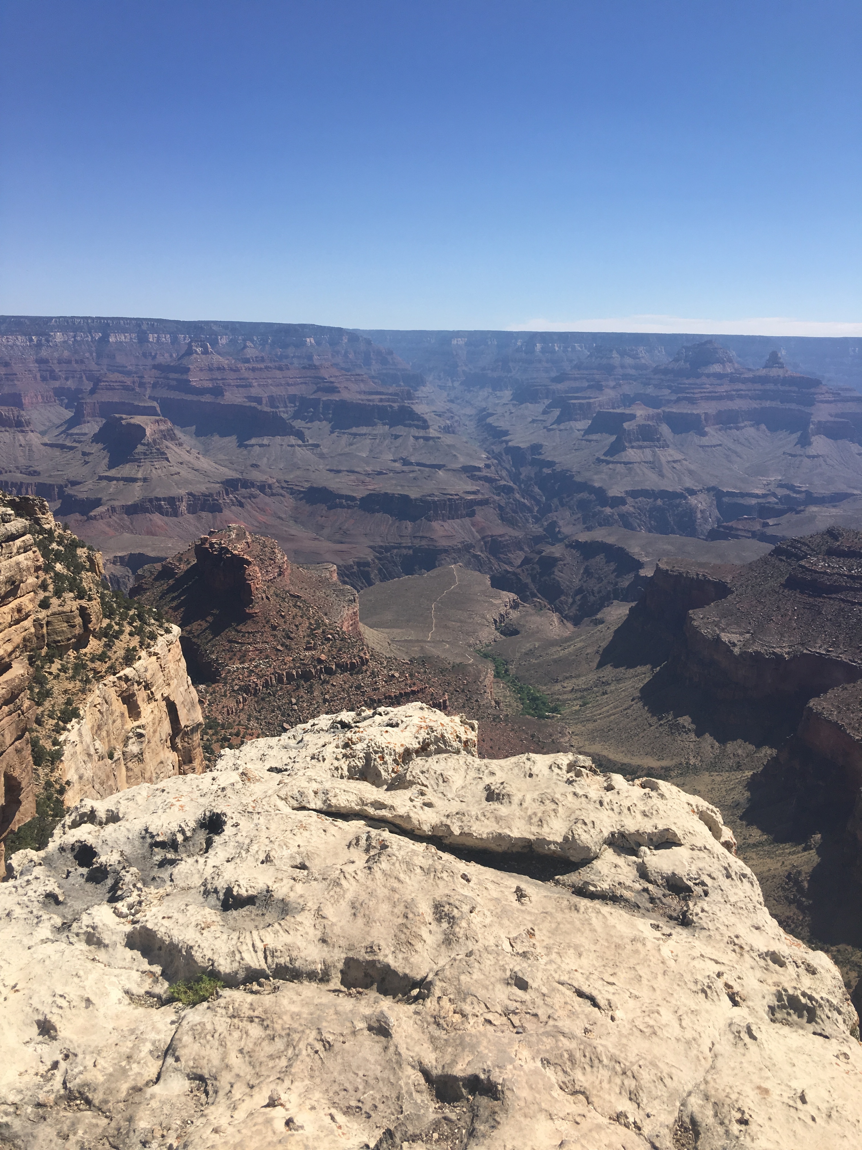 Oncebitten OnlyFans header