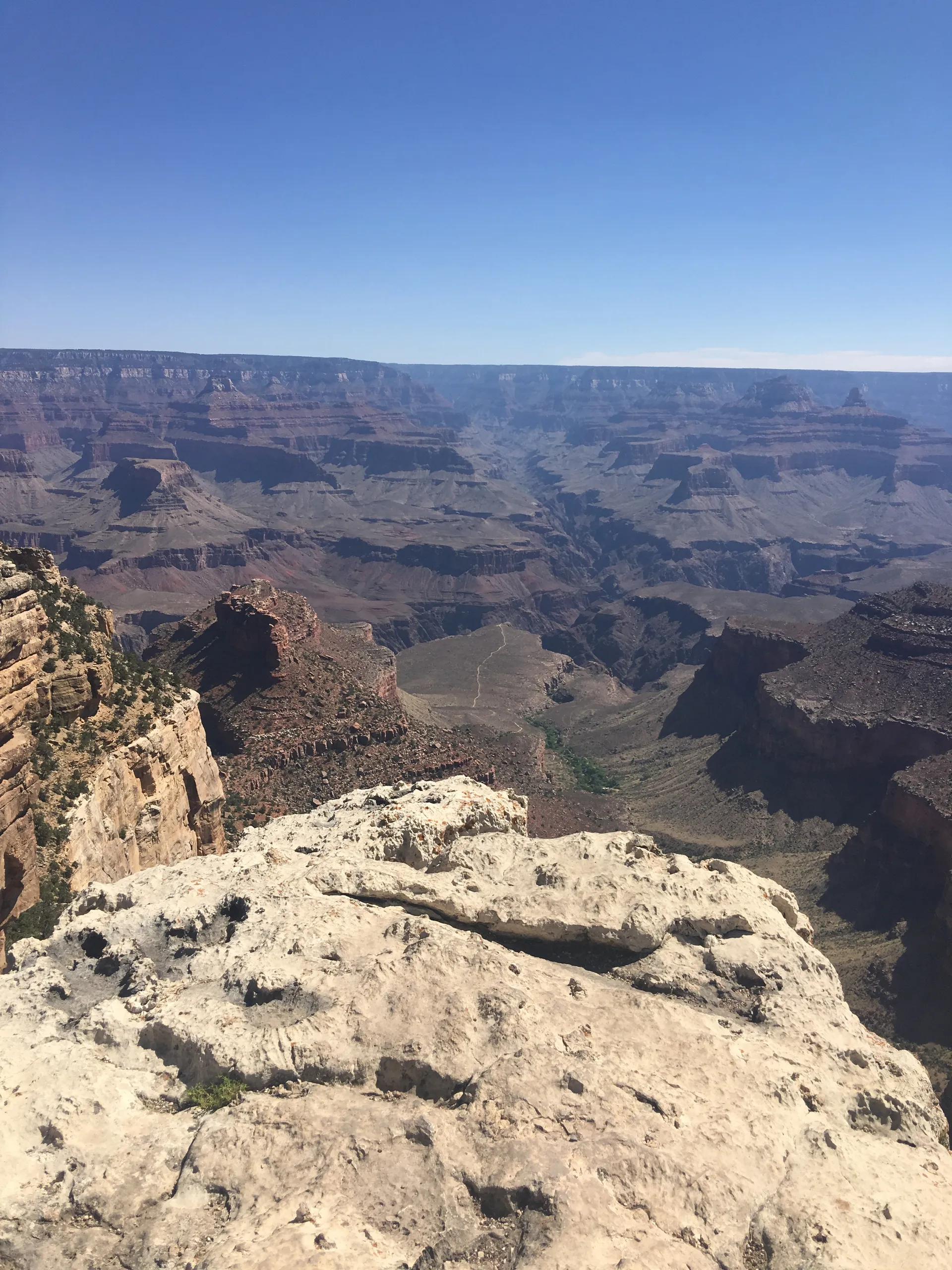 Oncebitten OnlyFans header