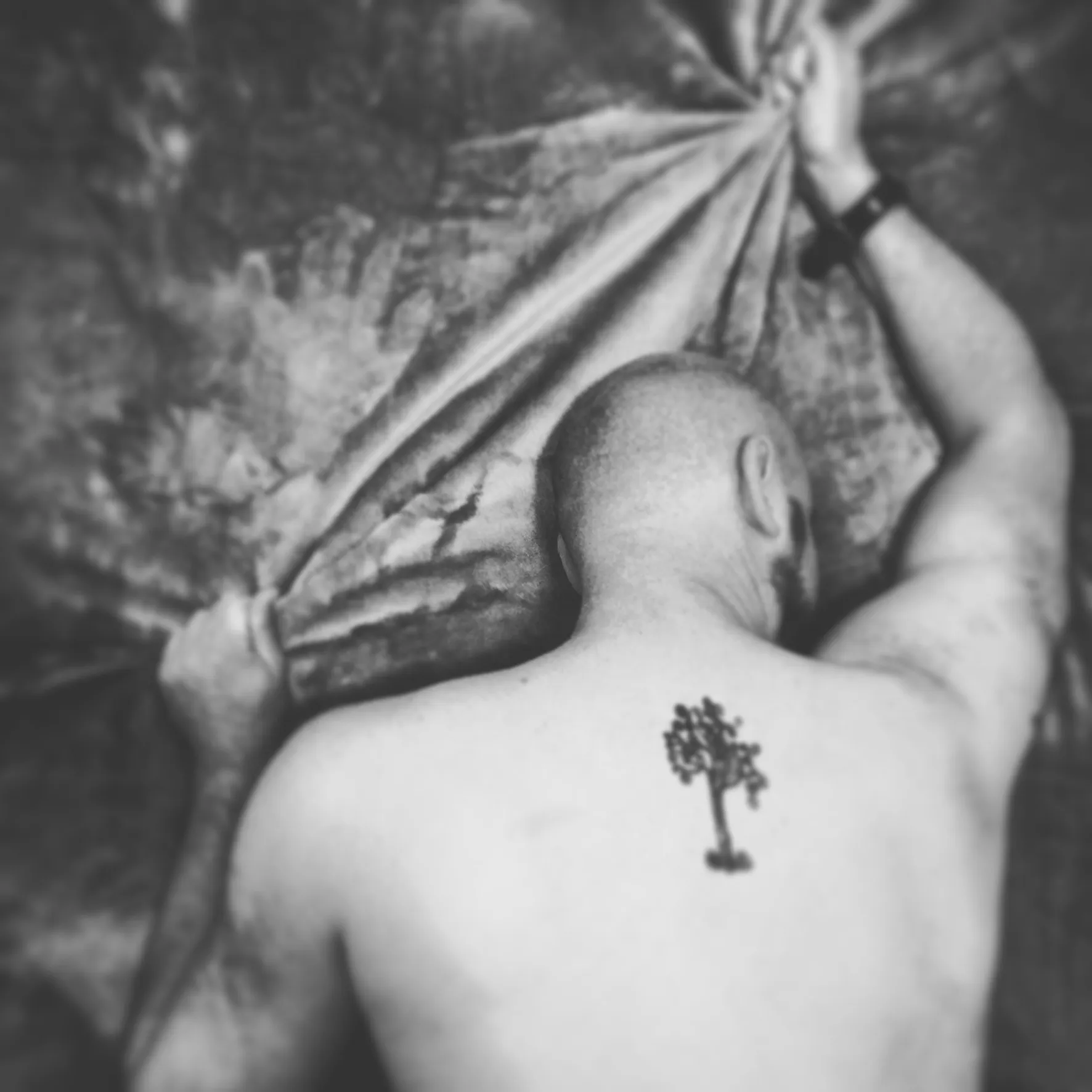 D Wood OnlyFans header