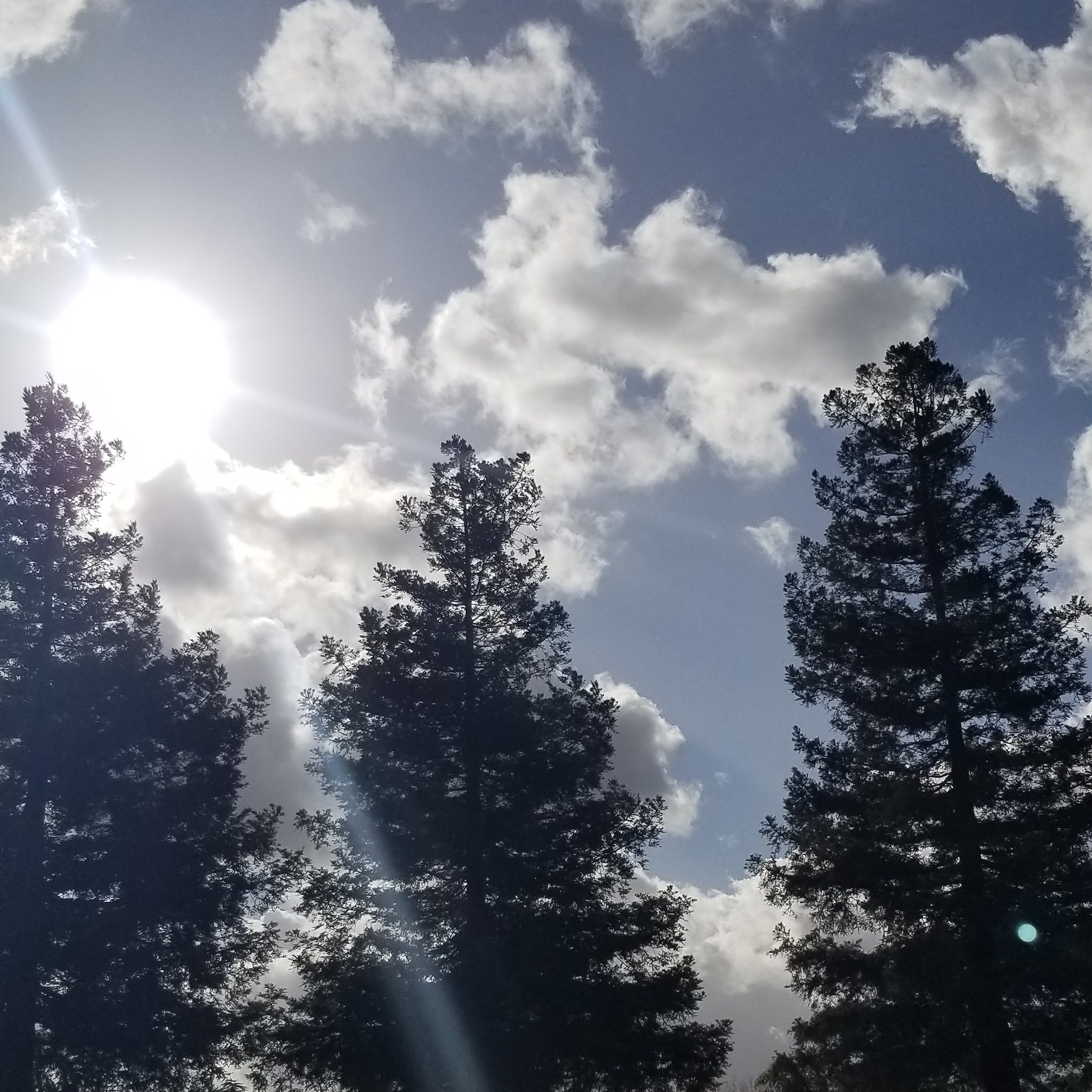 geo8x6 OnlyFans header