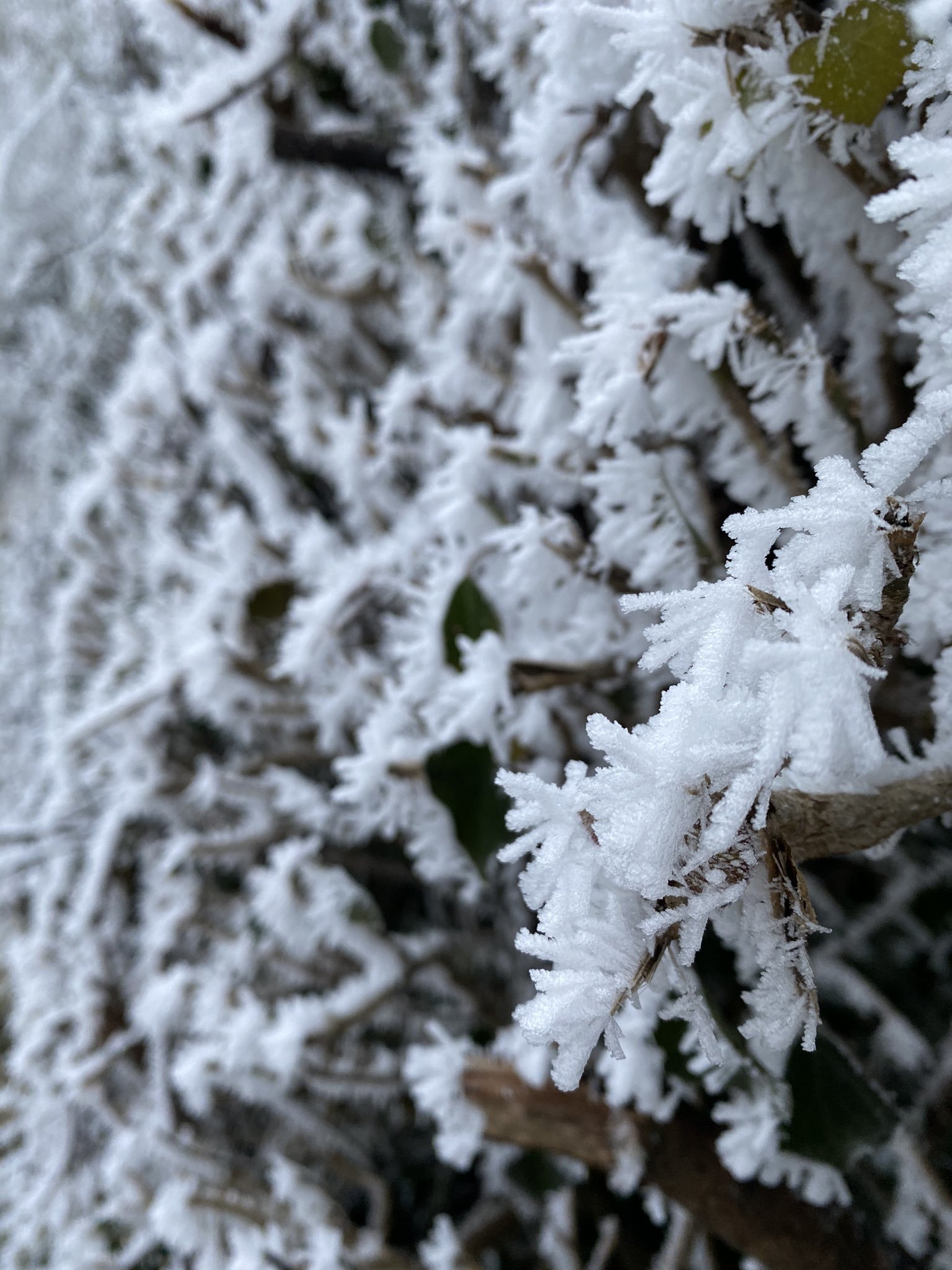 GeordieBiBoy OnlyFans header