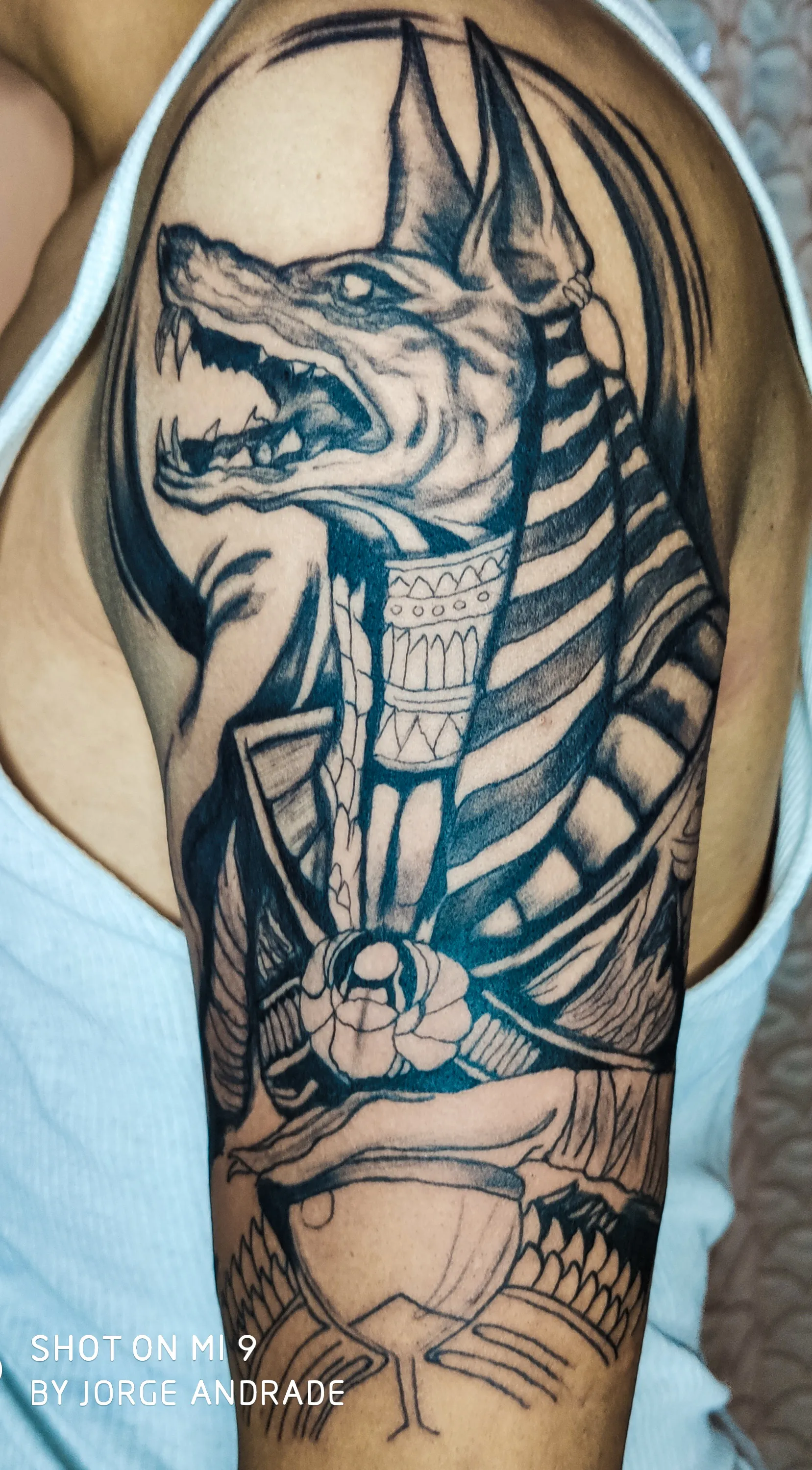 Ricardo's OnlyFans header