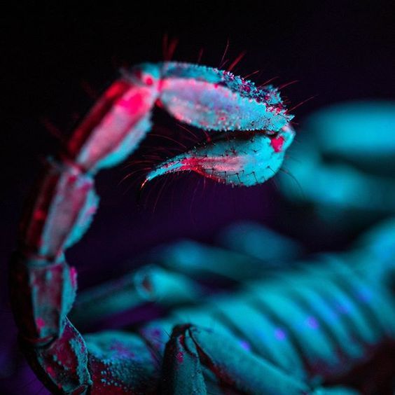 Benjamin George OnlyFans header