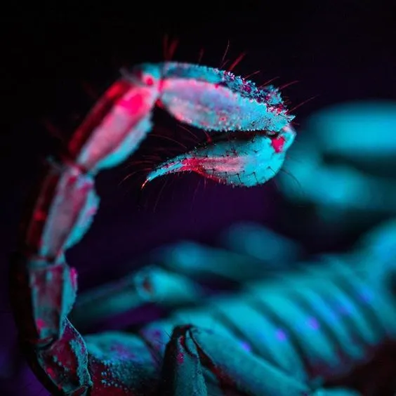 Benjamin George OnlyFans header