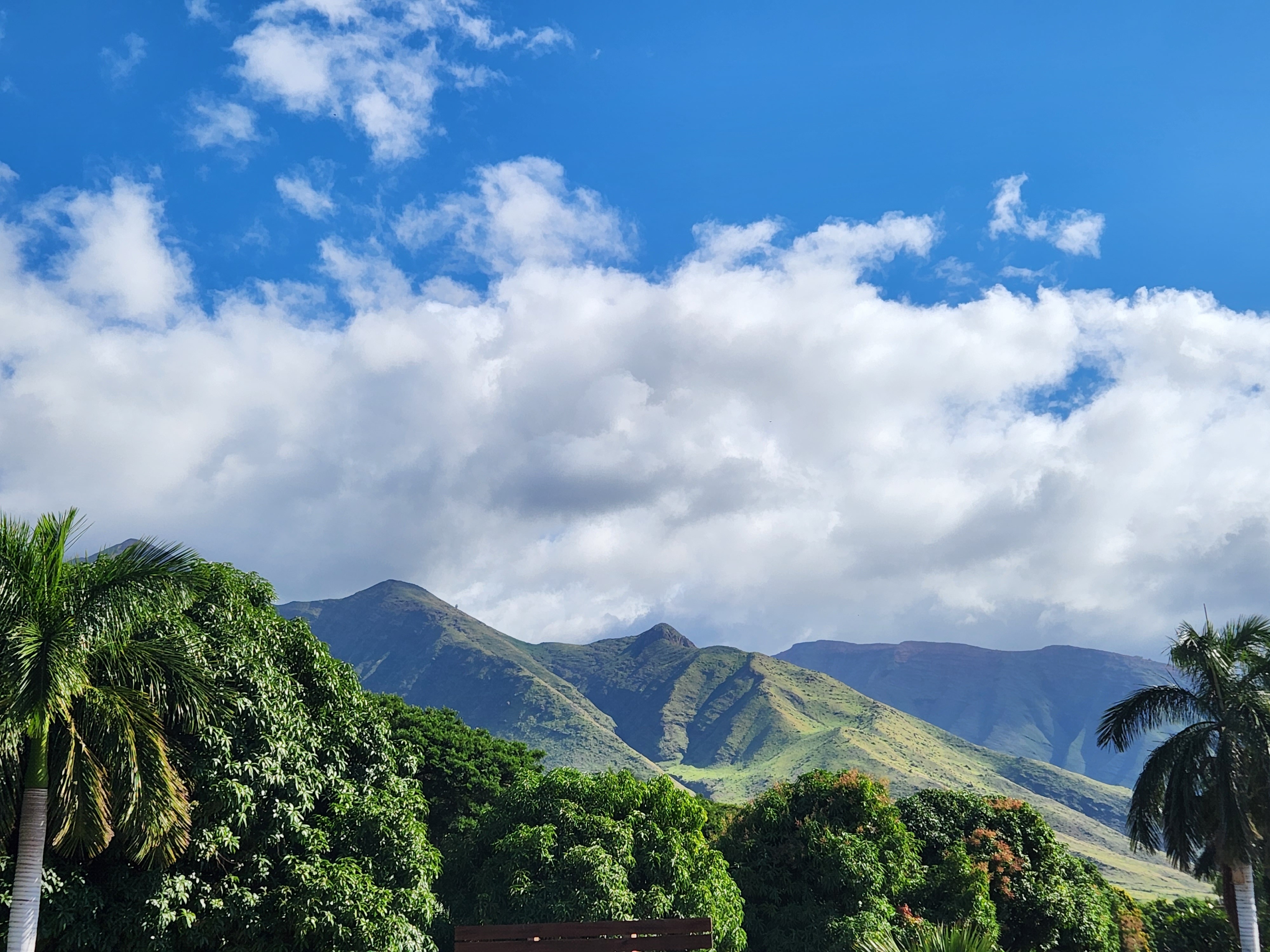 Georgia Teller OnlyFans header