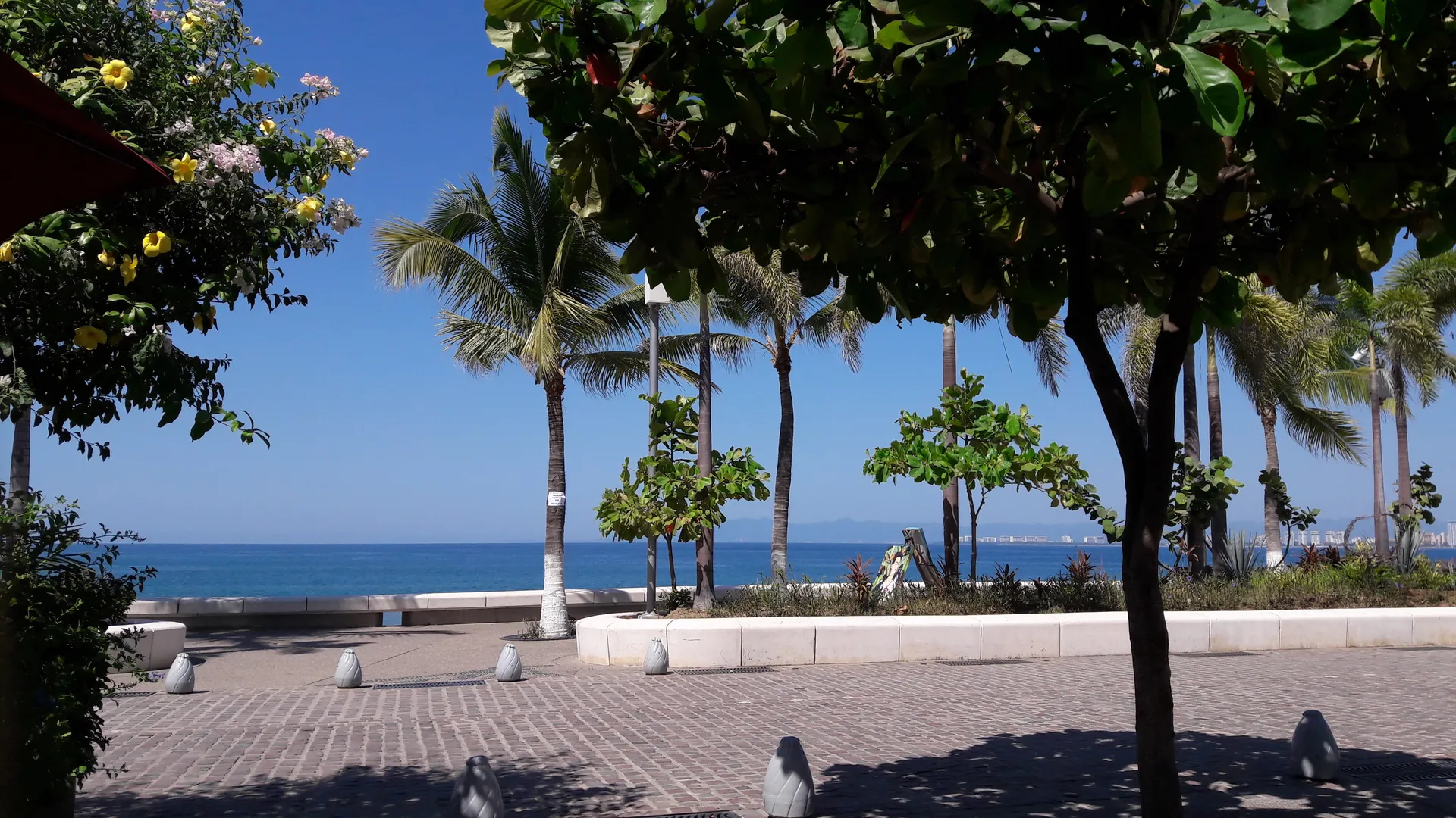 GeorgeD12 OnlyFans header