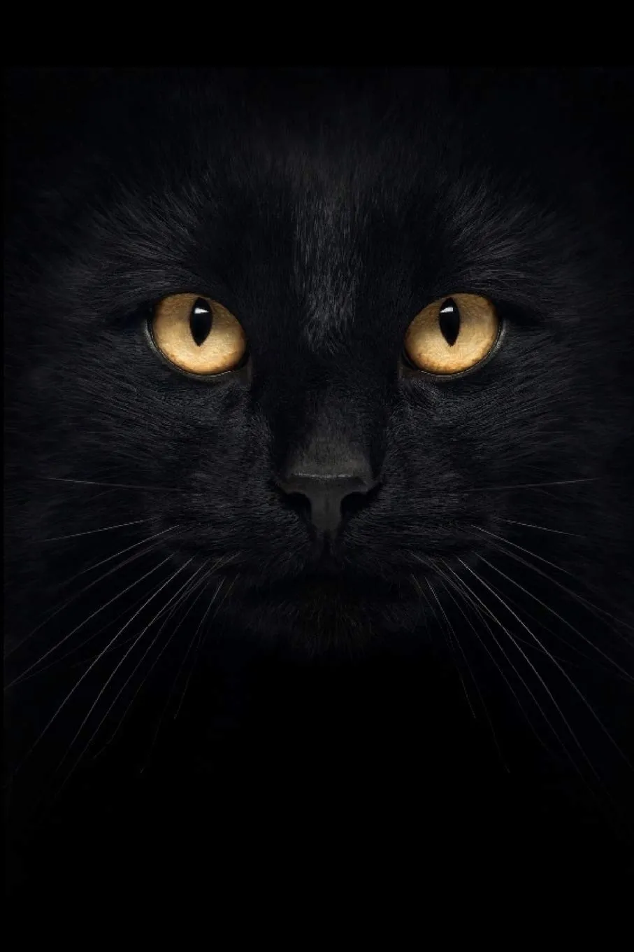 Georgy Alba OnlyFans header