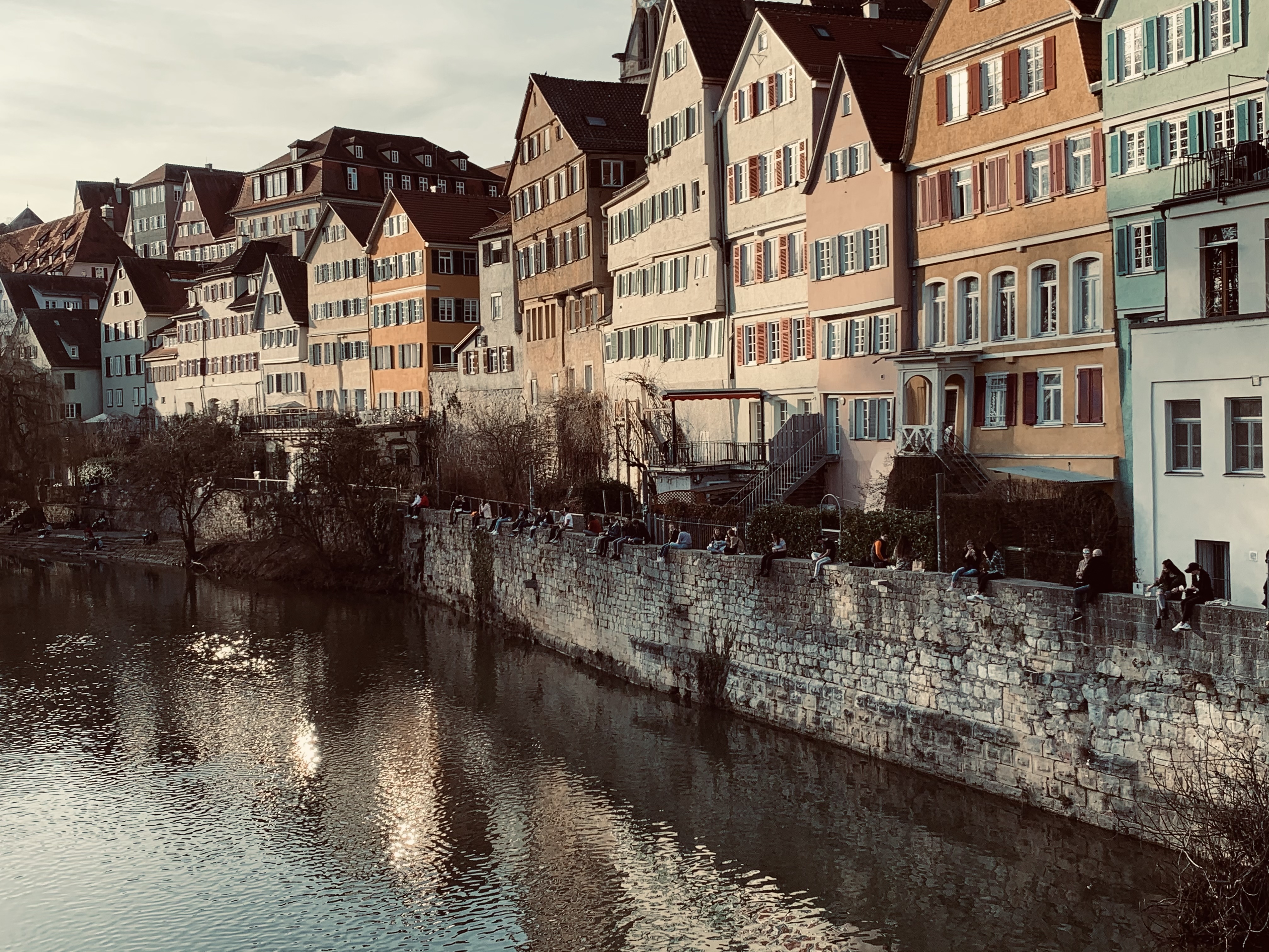 Maxx_David_Offical OnlyFans header