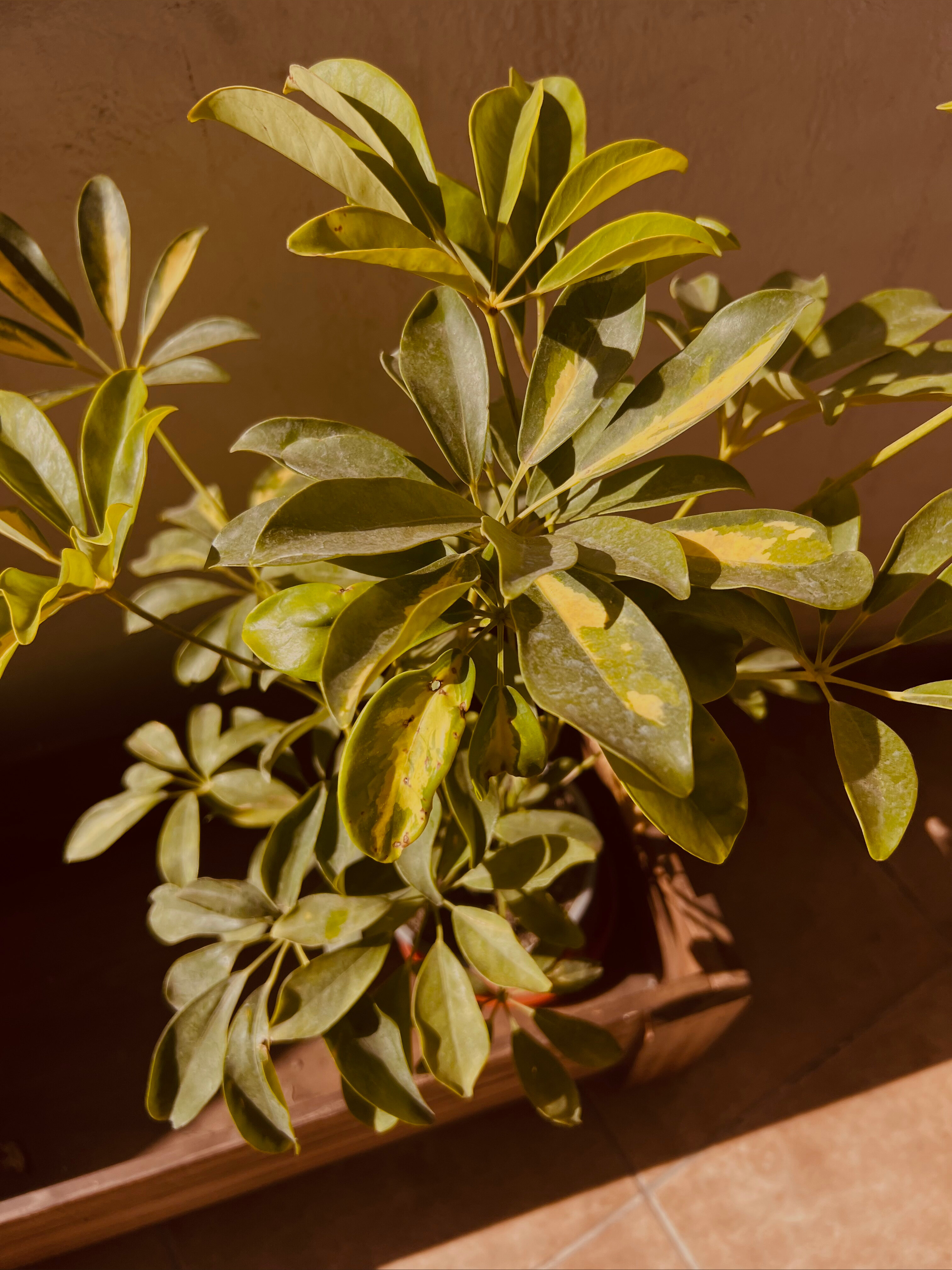 Andres 🔥 OnlyFans header