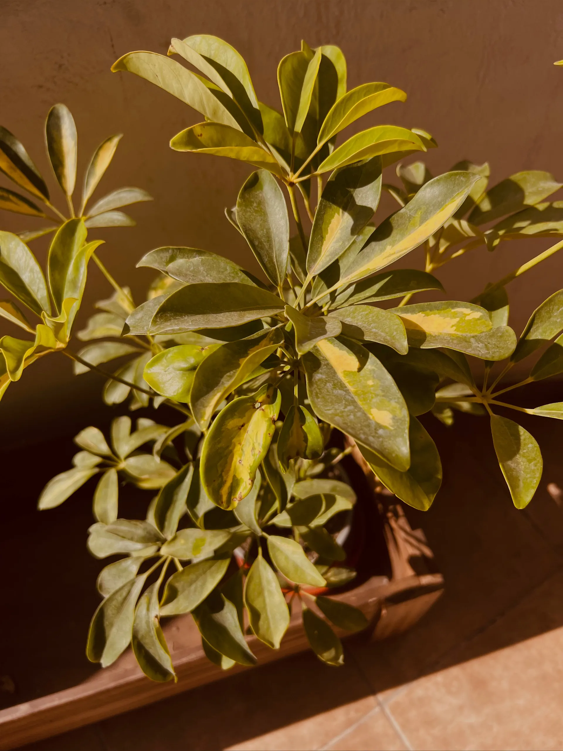 Andres 🔥 OnlyFans header