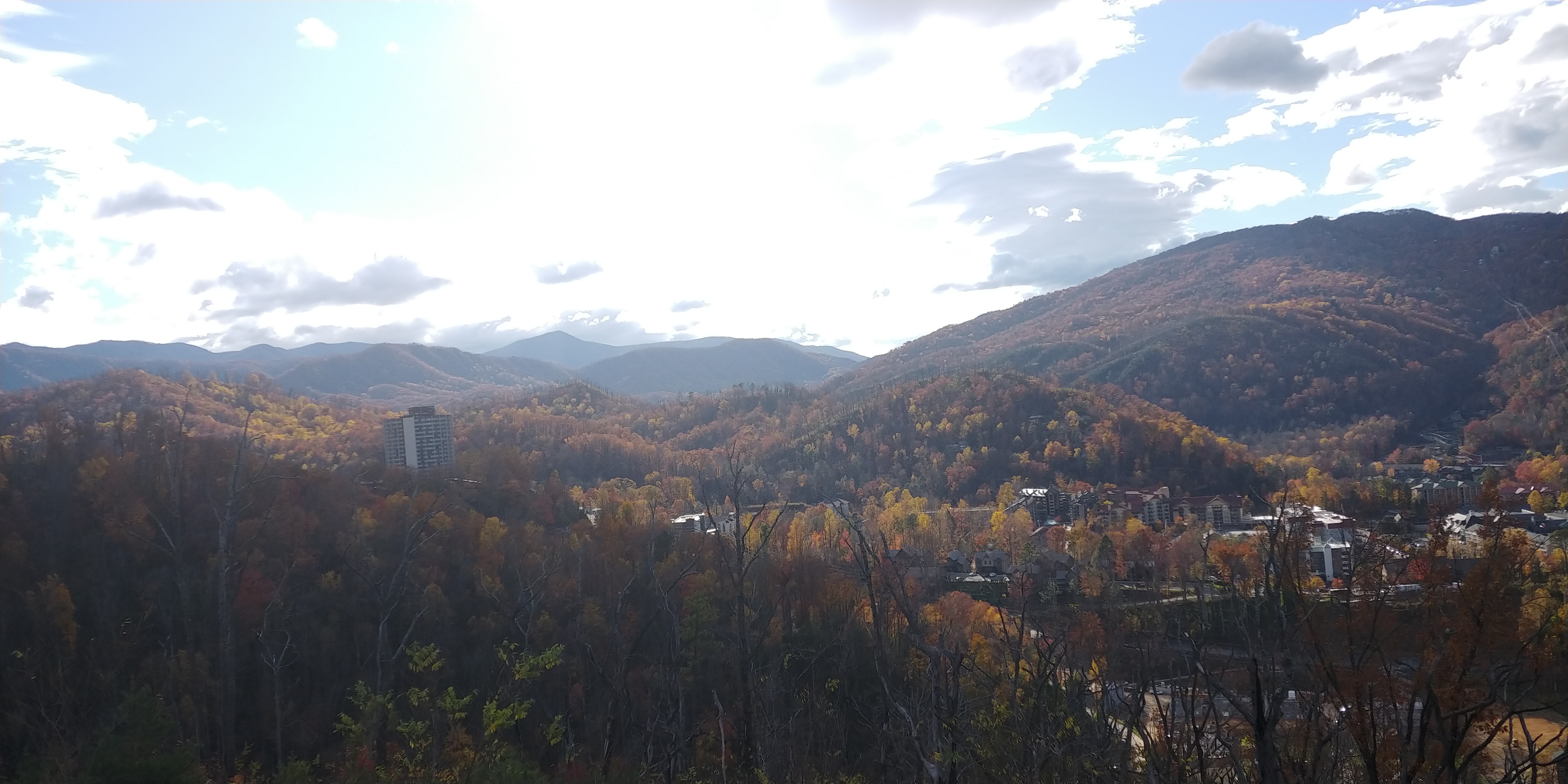 Gill OnlyFans header