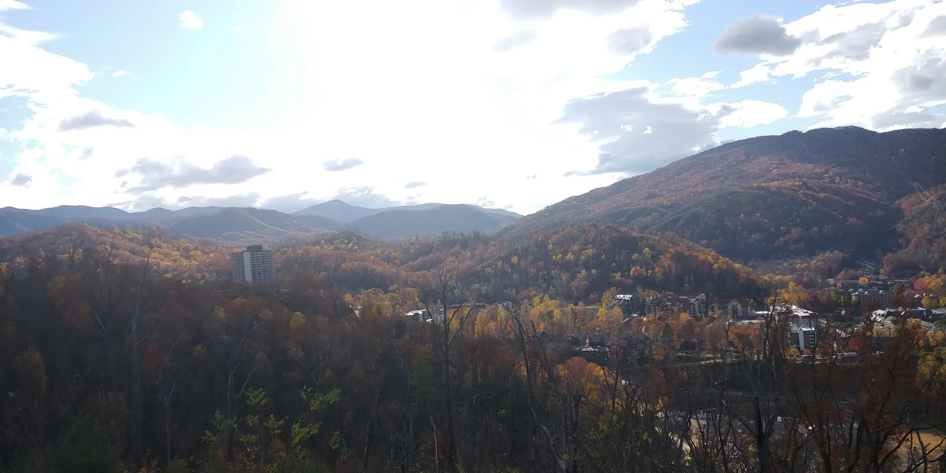 Gill OnlyFans header