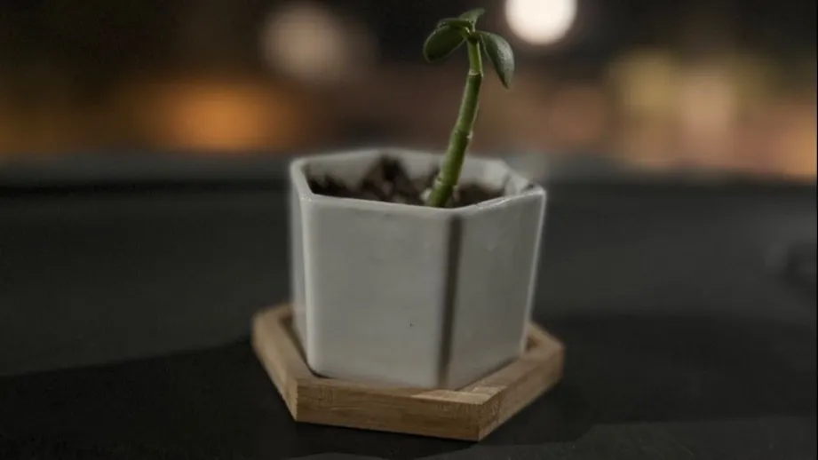 Gia Paige OnlyFans header