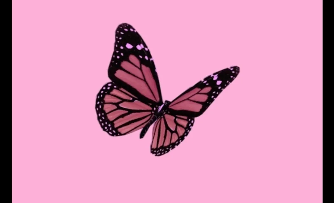 GraceX OnlyFans header