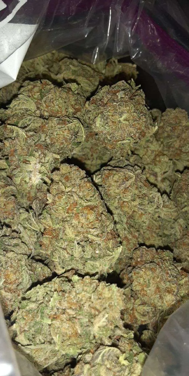 Gracie Bluntz OnlyFans header
