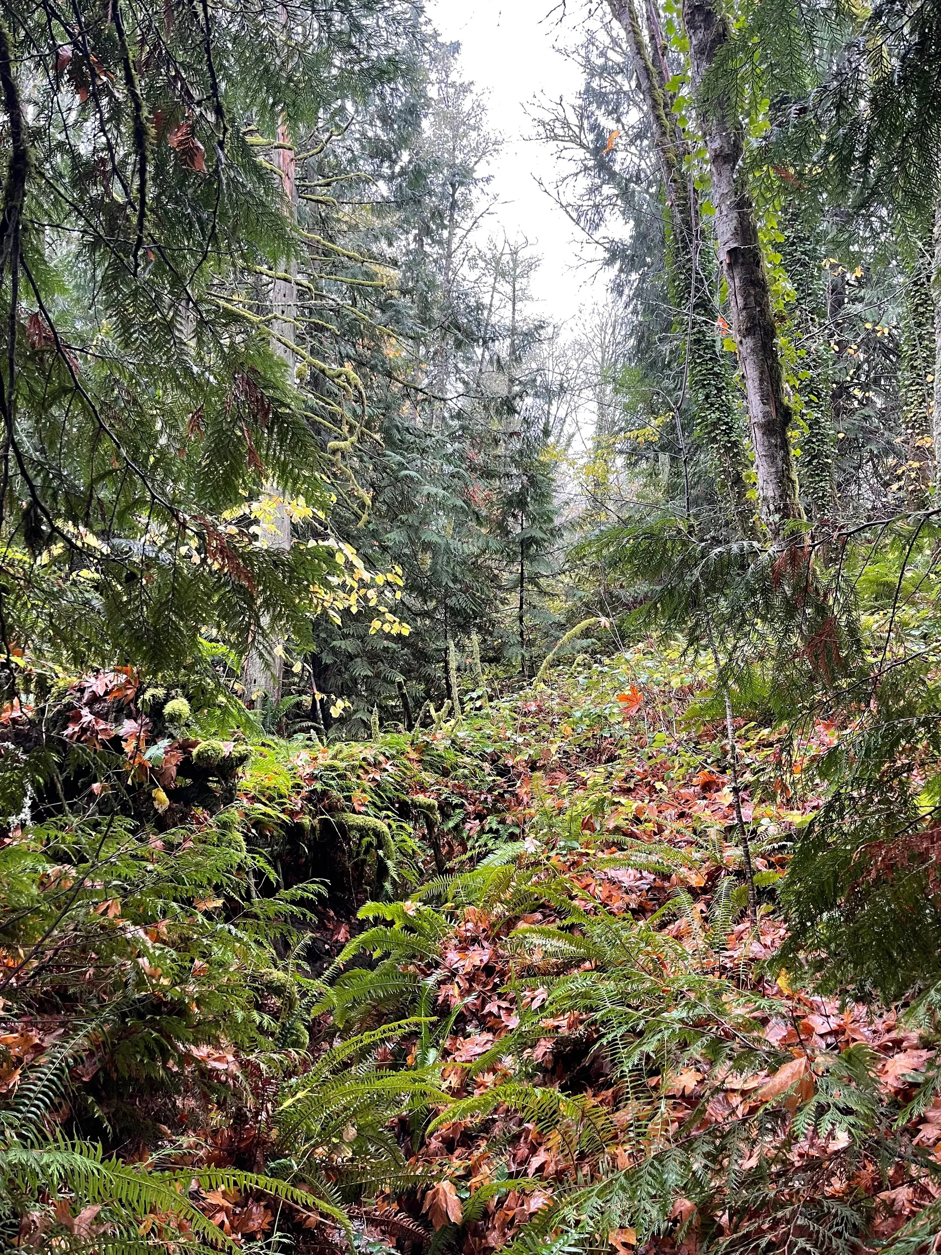 Greg McKeon OnlyFans header