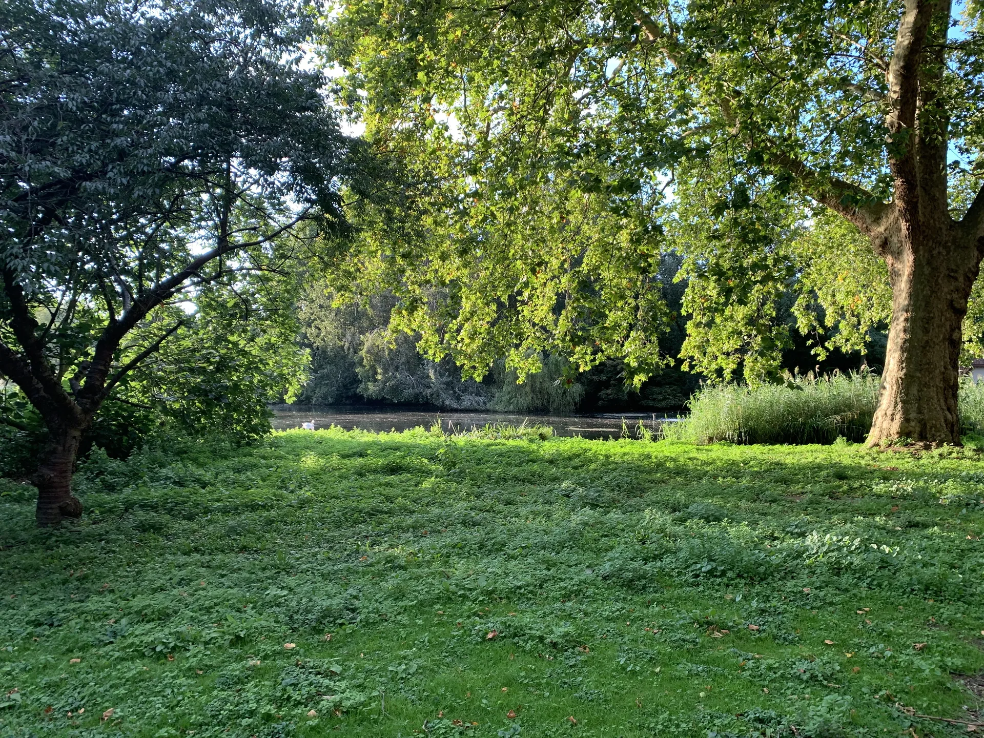 Griffin Barrows OnlyFans header