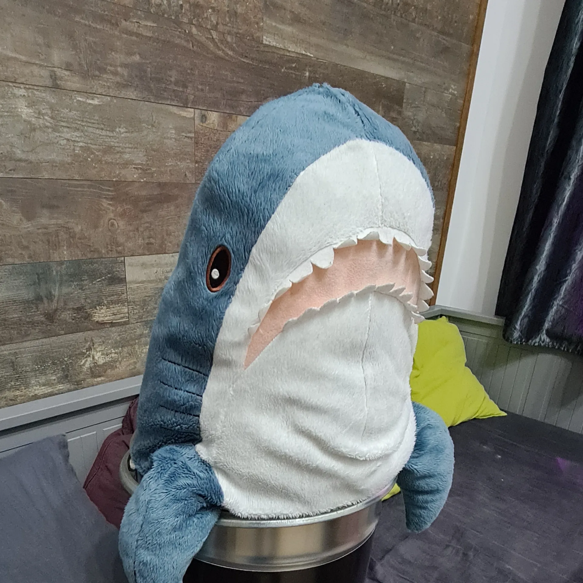 GyulaShark OnlyFans profile picture