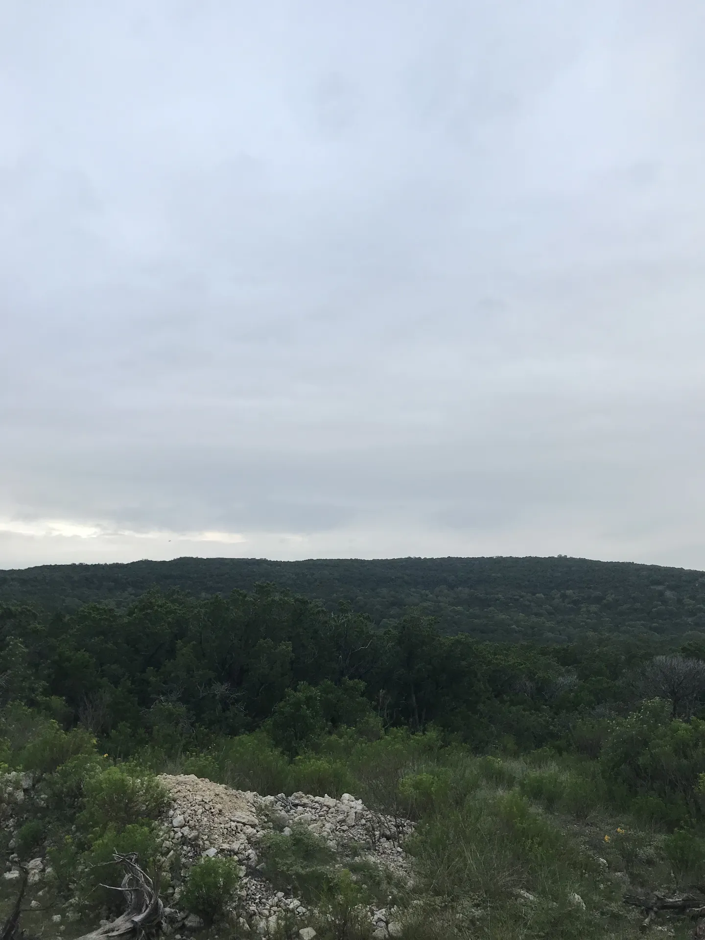 hakon OnlyFans header