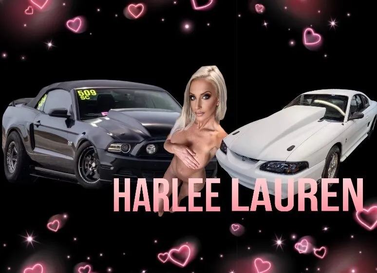🏁 Harlee Lauren 🏁 OnlyFans header