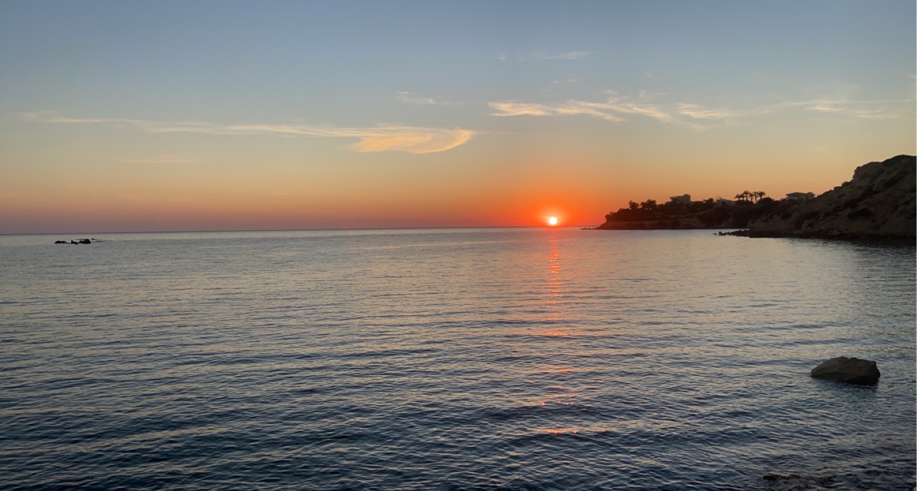 Harry OnlyFans header