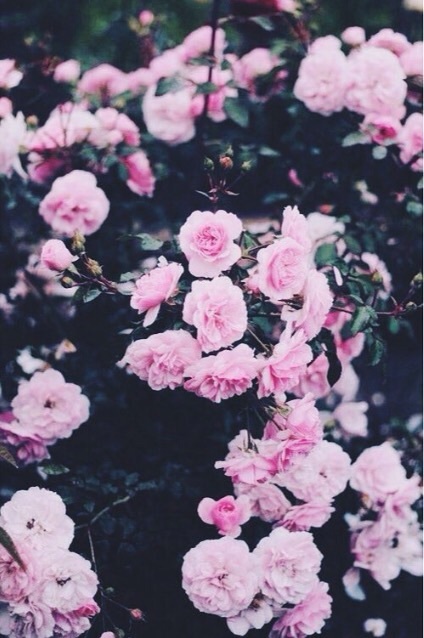 Hell 🌙 OnlyFans header