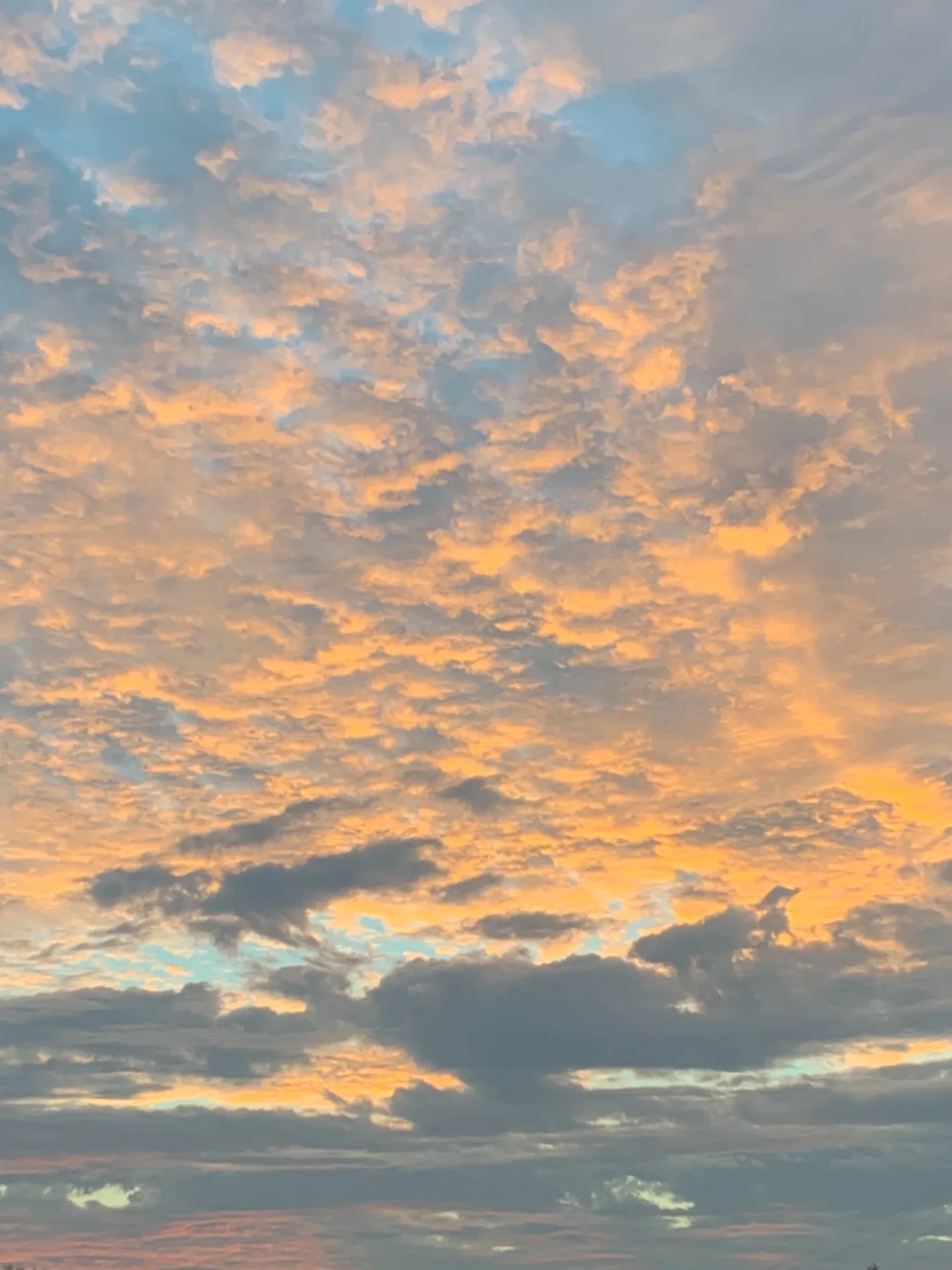 trav lee OnlyFans header