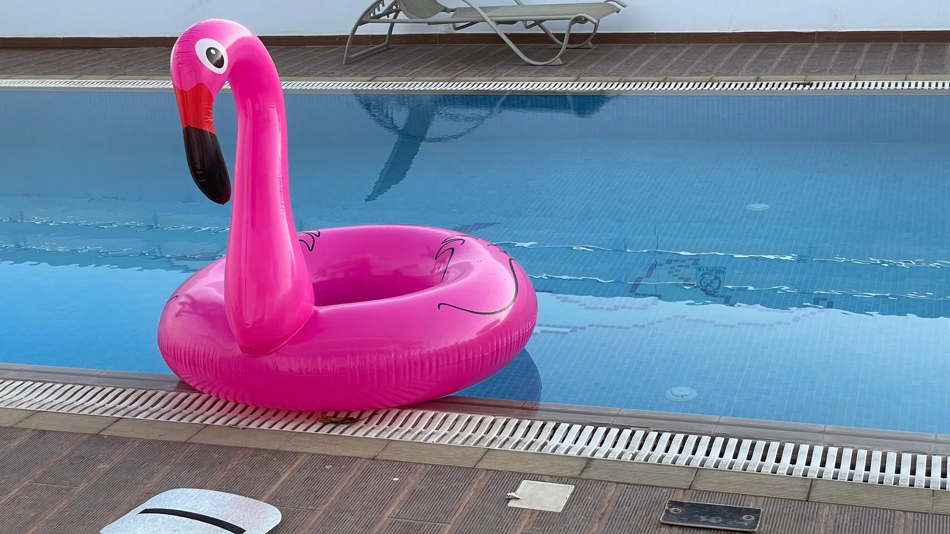 Alina OnlyFans header