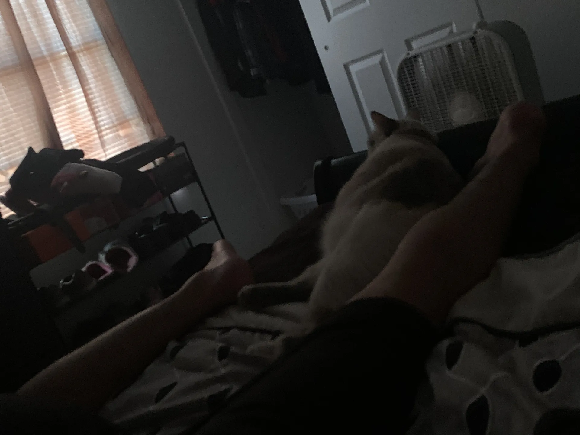 Baby OnlyFans header