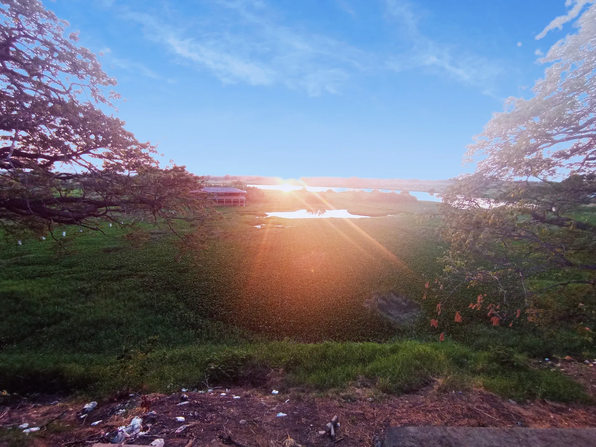 Natzuki OnlyFans header