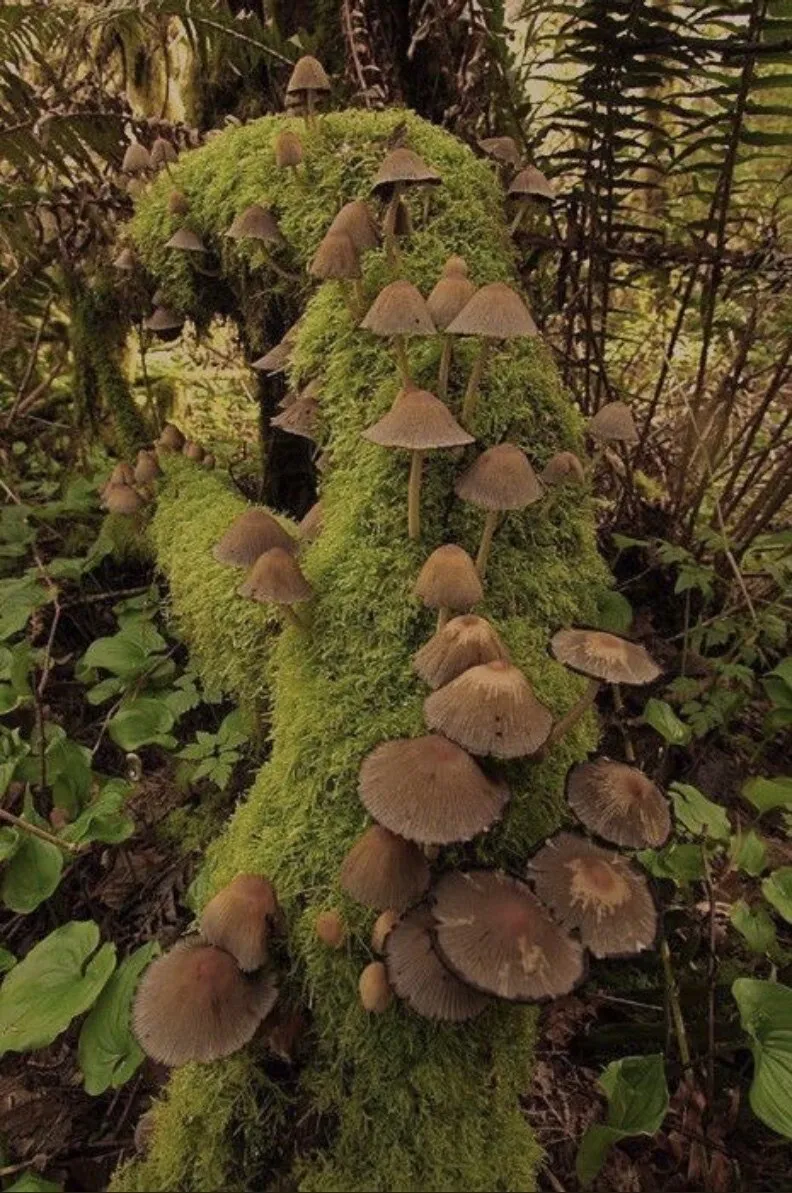 𝔉𝔞𝔦𝔱𝔥 OnlyFans header