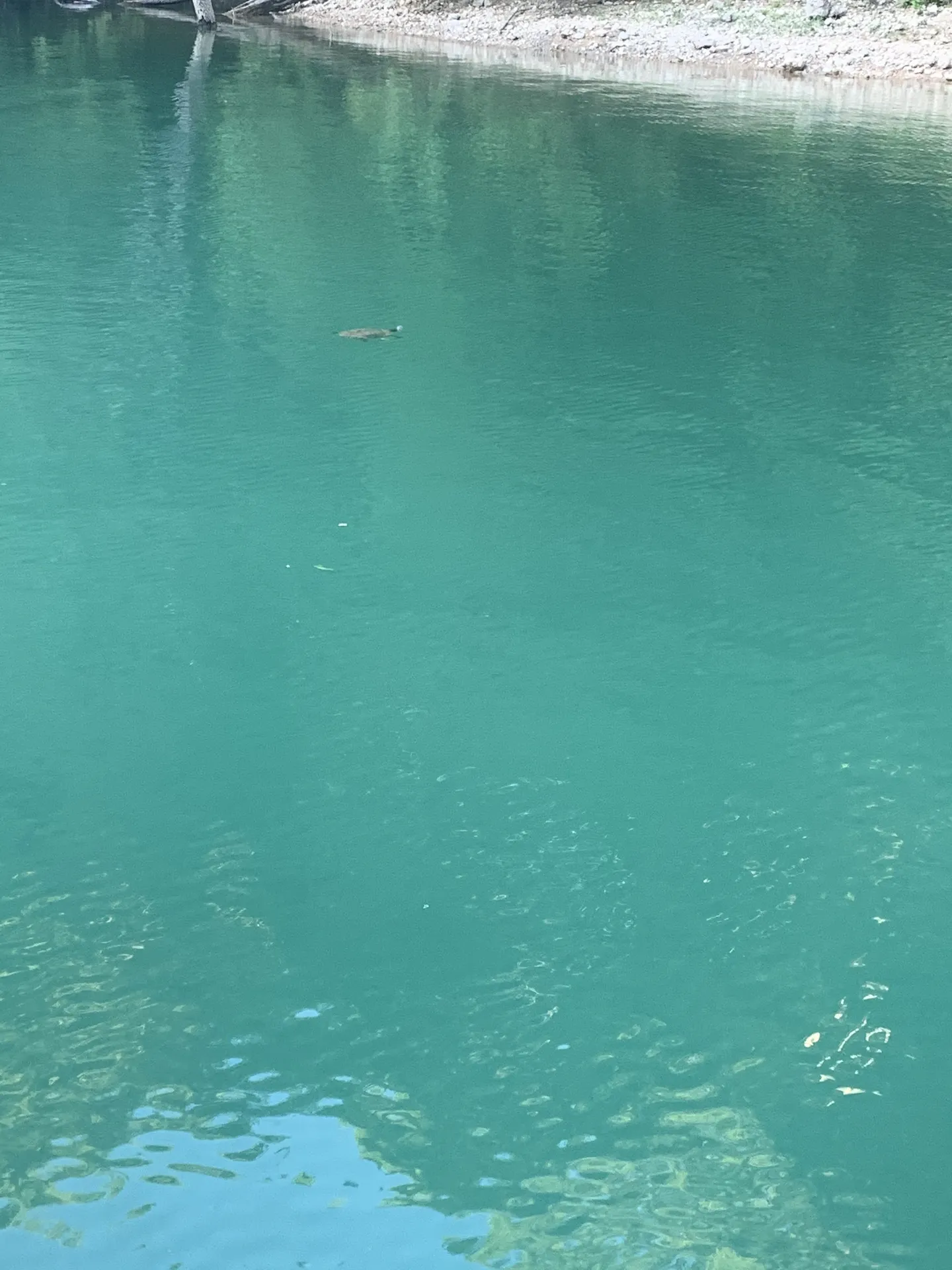 itsmebrea OnlyFans header