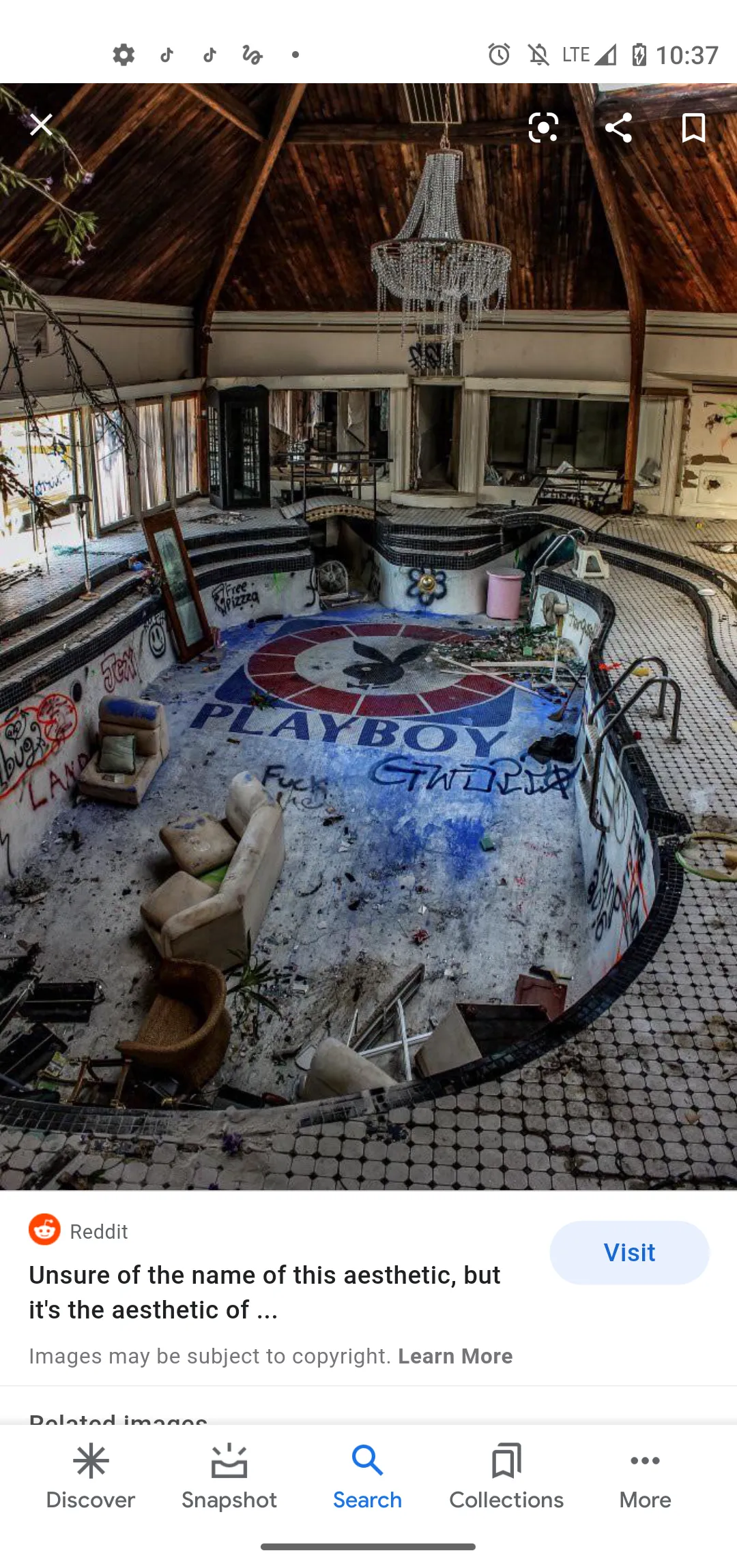 Ivy's Poison OnlyFans header