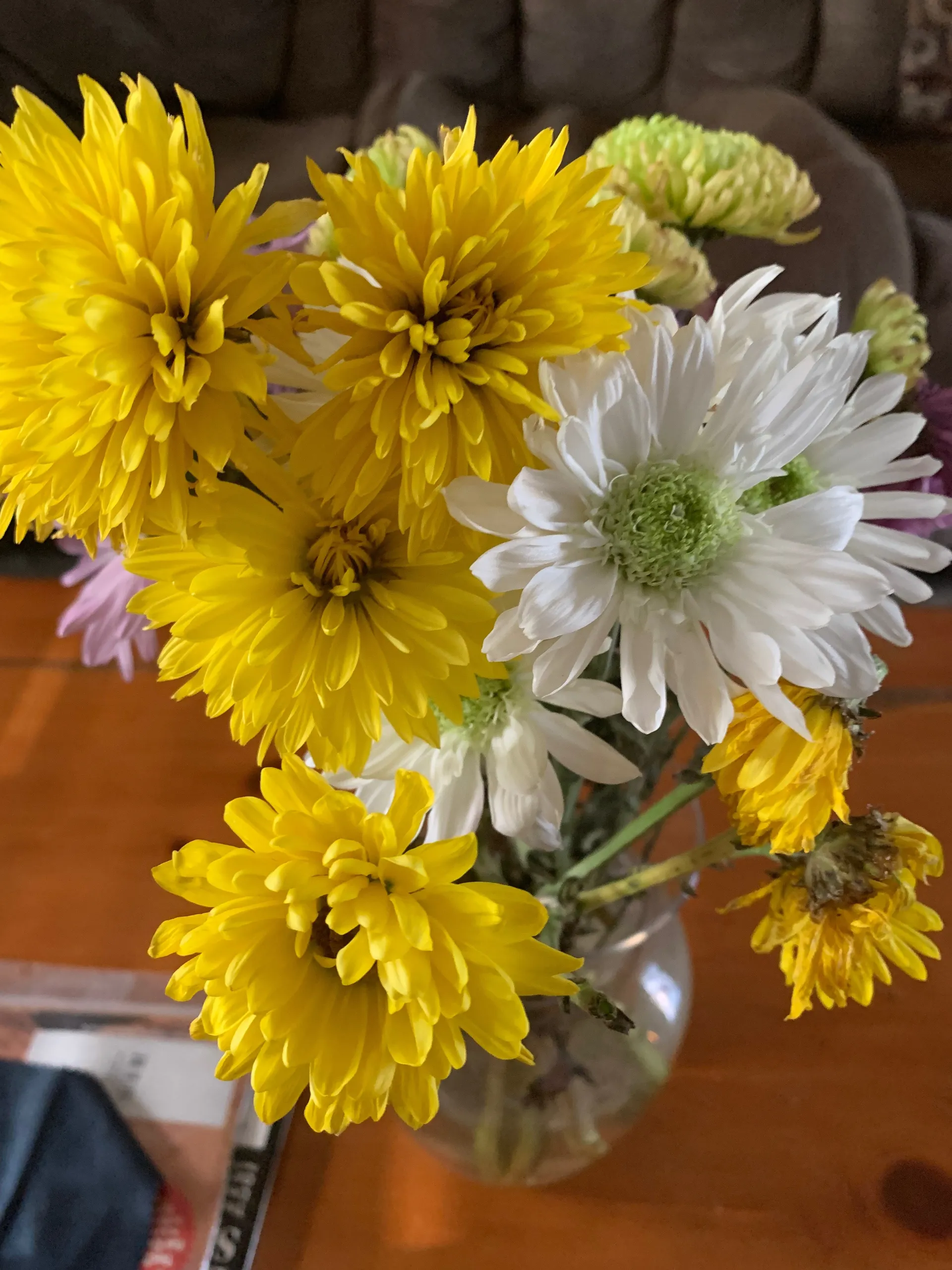 Yaya OnlyFans header